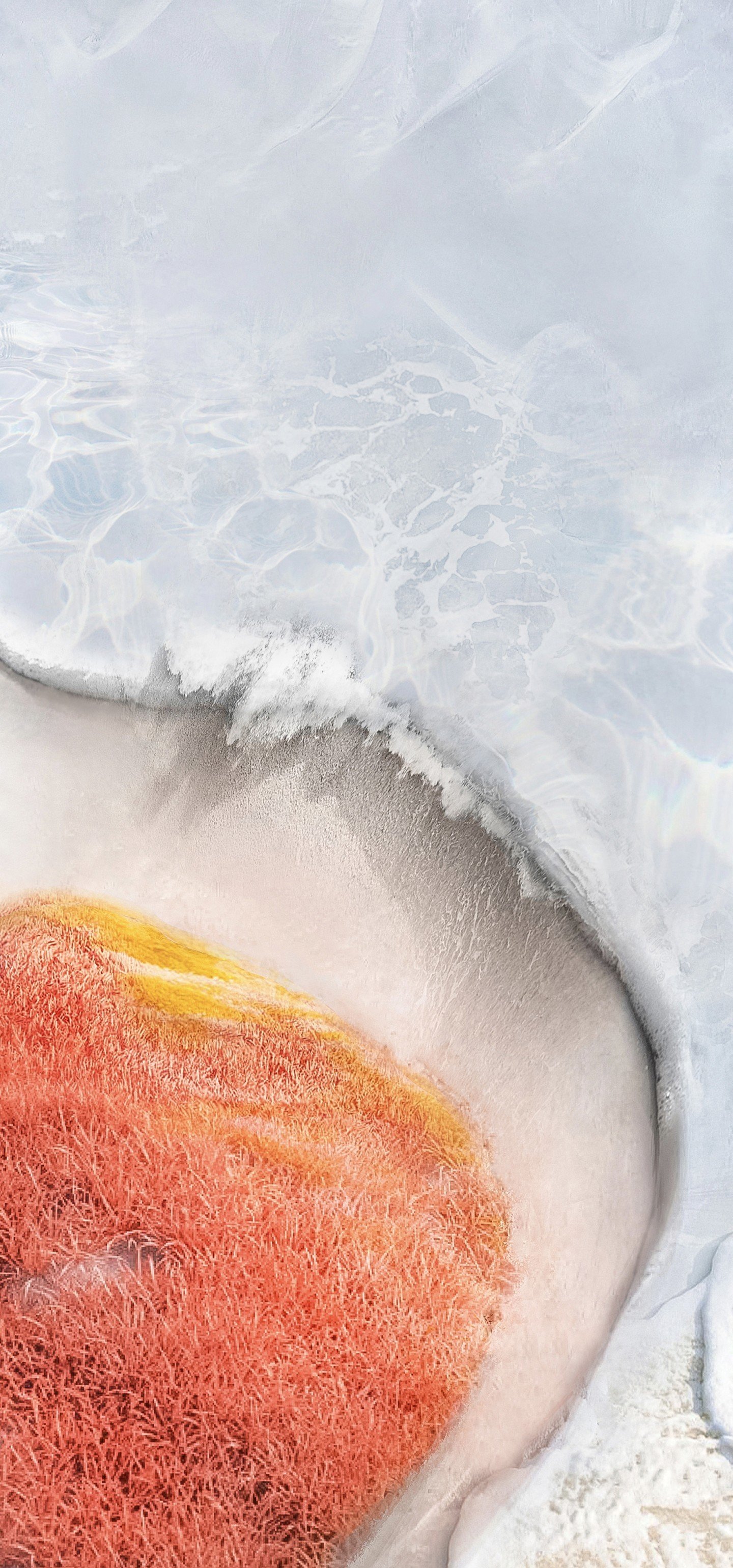 1440x3080 Wallpaper Alive, Vivo X Vivo x Fold, Vivo x Note, Smartphone, Background Free Image