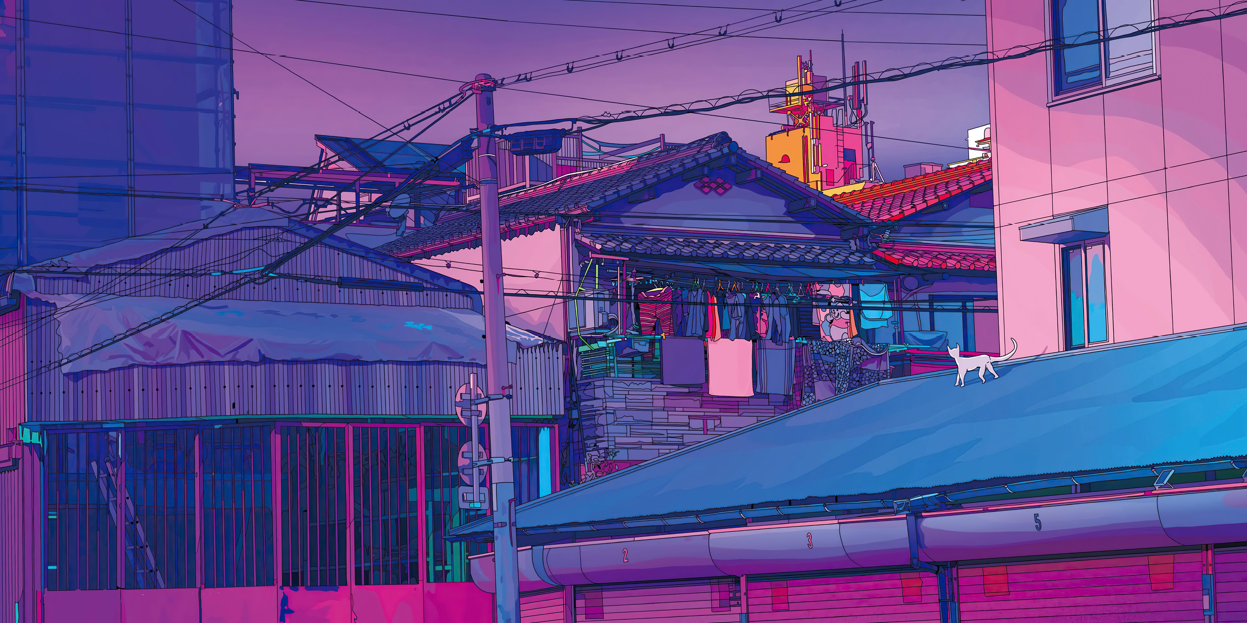 5120x2560 Cat Asethetic Lofi 5k Wallpaper, HD Artist Wallpaper, 4k Wallpaper, Image, Background, Photos and Picture