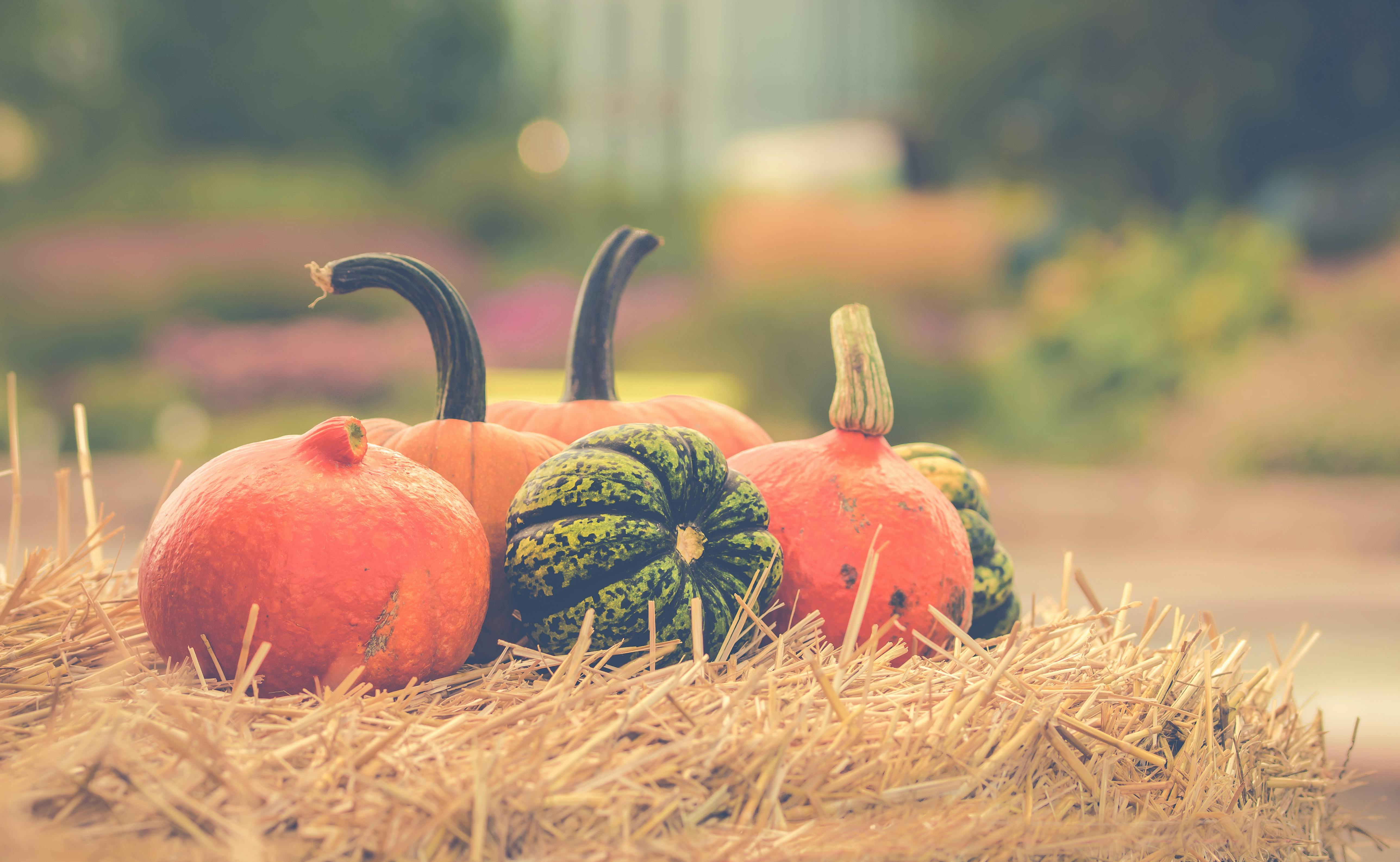 5152x3172 Thanksgiving Wallpaper Photo, Download The BEST Free Thanksgiving Wallpaper & HD Image