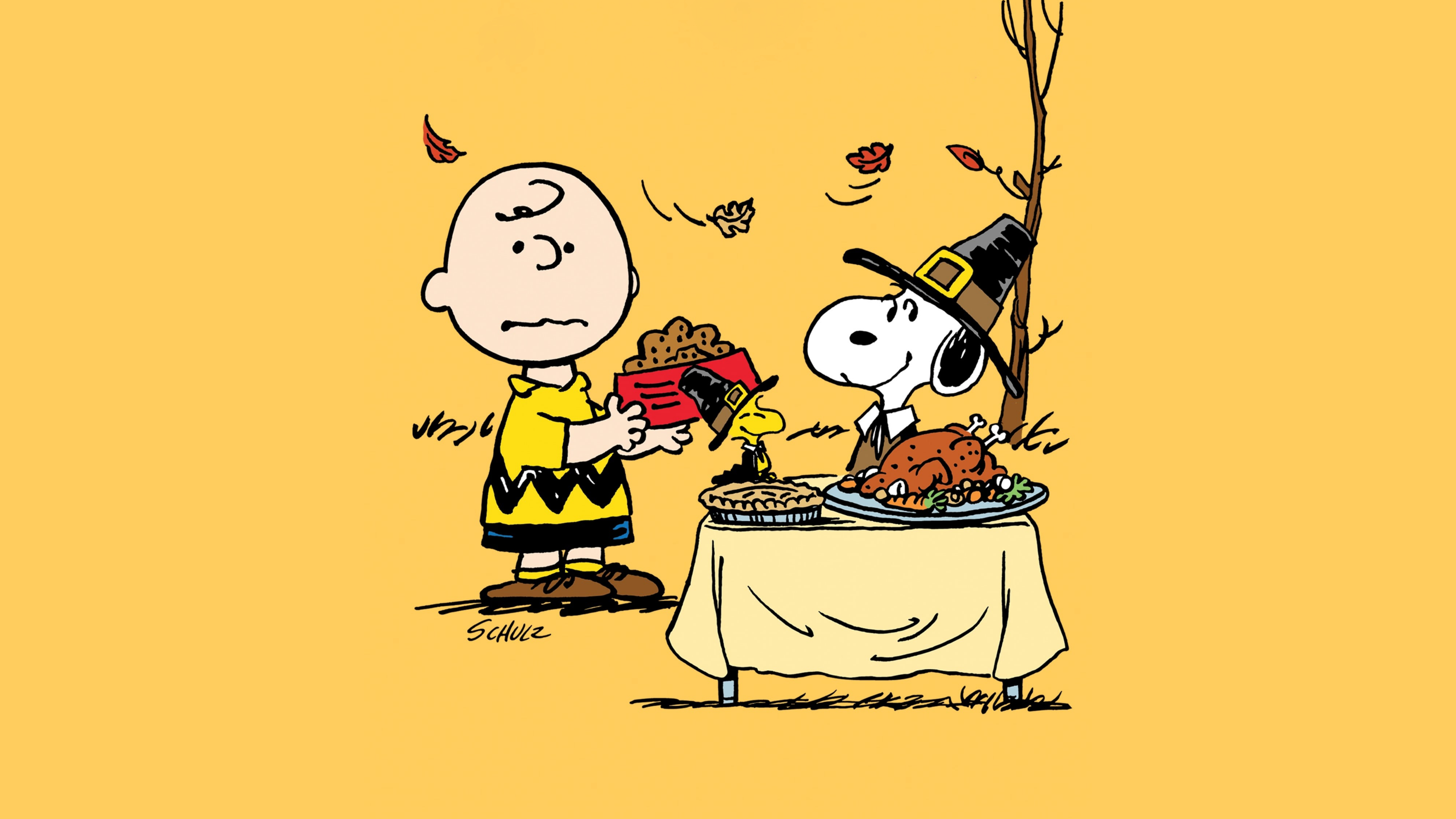 3840x2160 Peanuts Wallpaper 4K, Thanksgiving, Charlie Brown