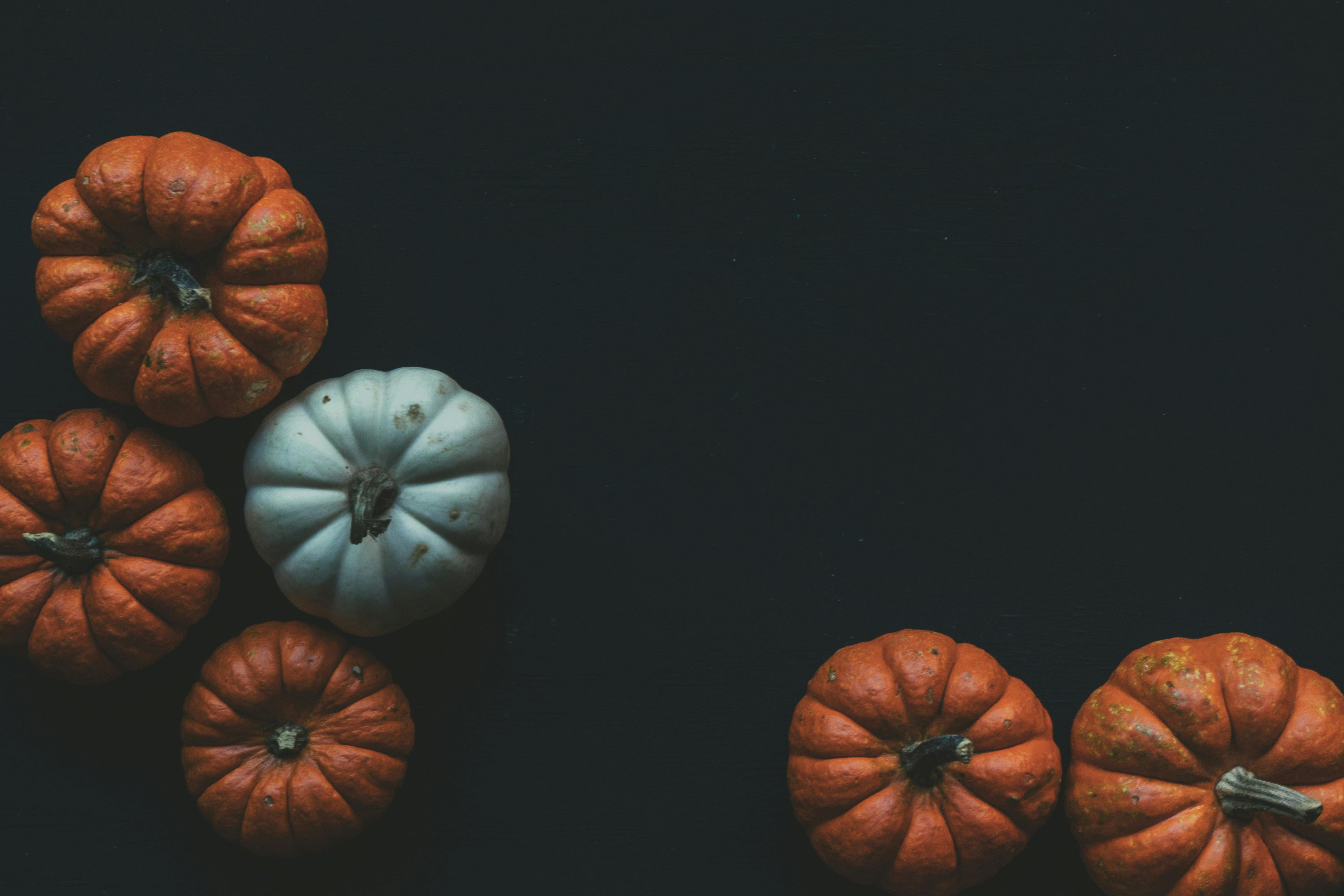 6000x4000 Thanksgiving Wallpaper Photo, Download The BEST Free Thanksgiving Wallpaper & HD Image