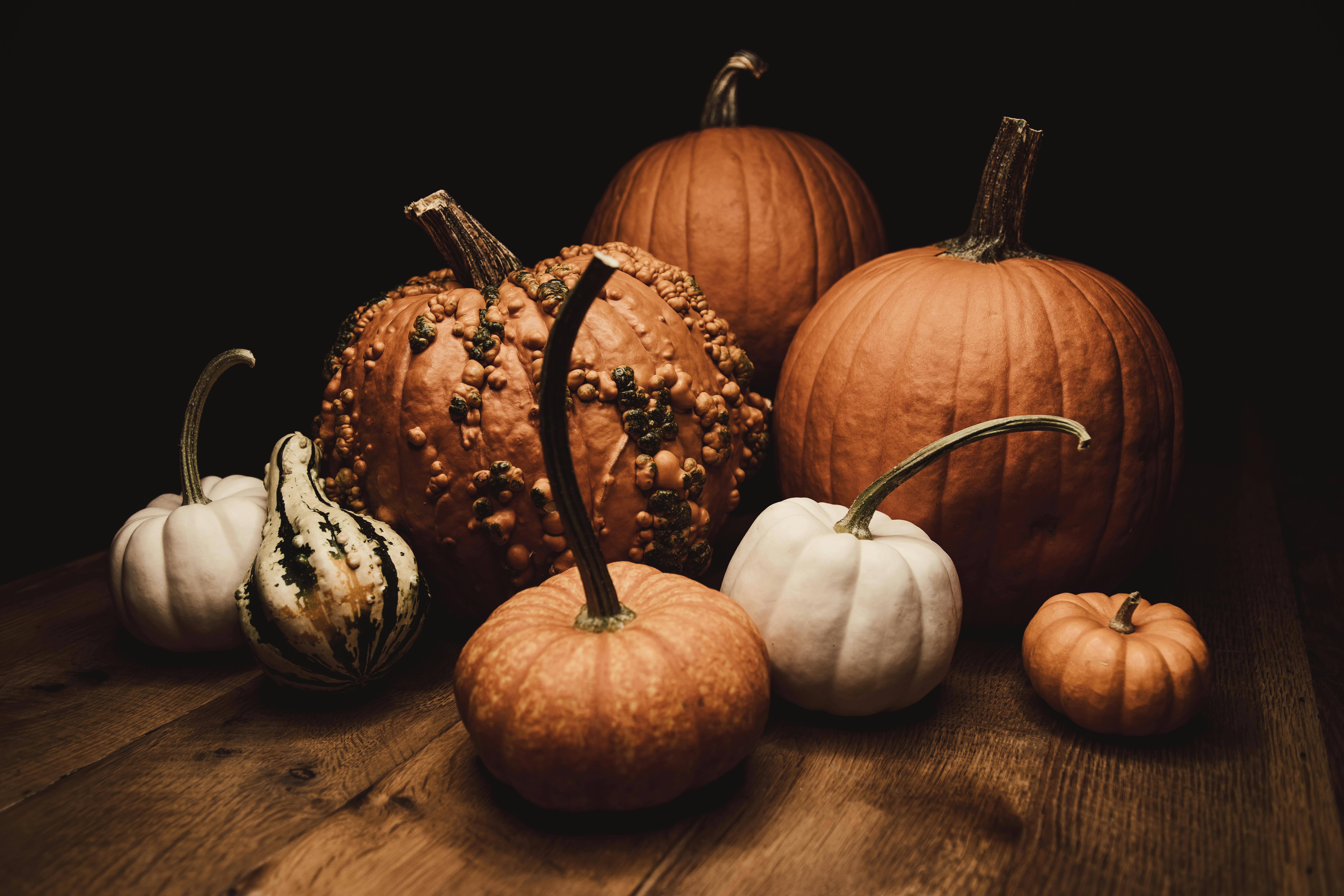 8192x5461 Thanksgiving Wallpaper Photo, Download The BEST Free Thanksgiving Wallpaper & HD Image