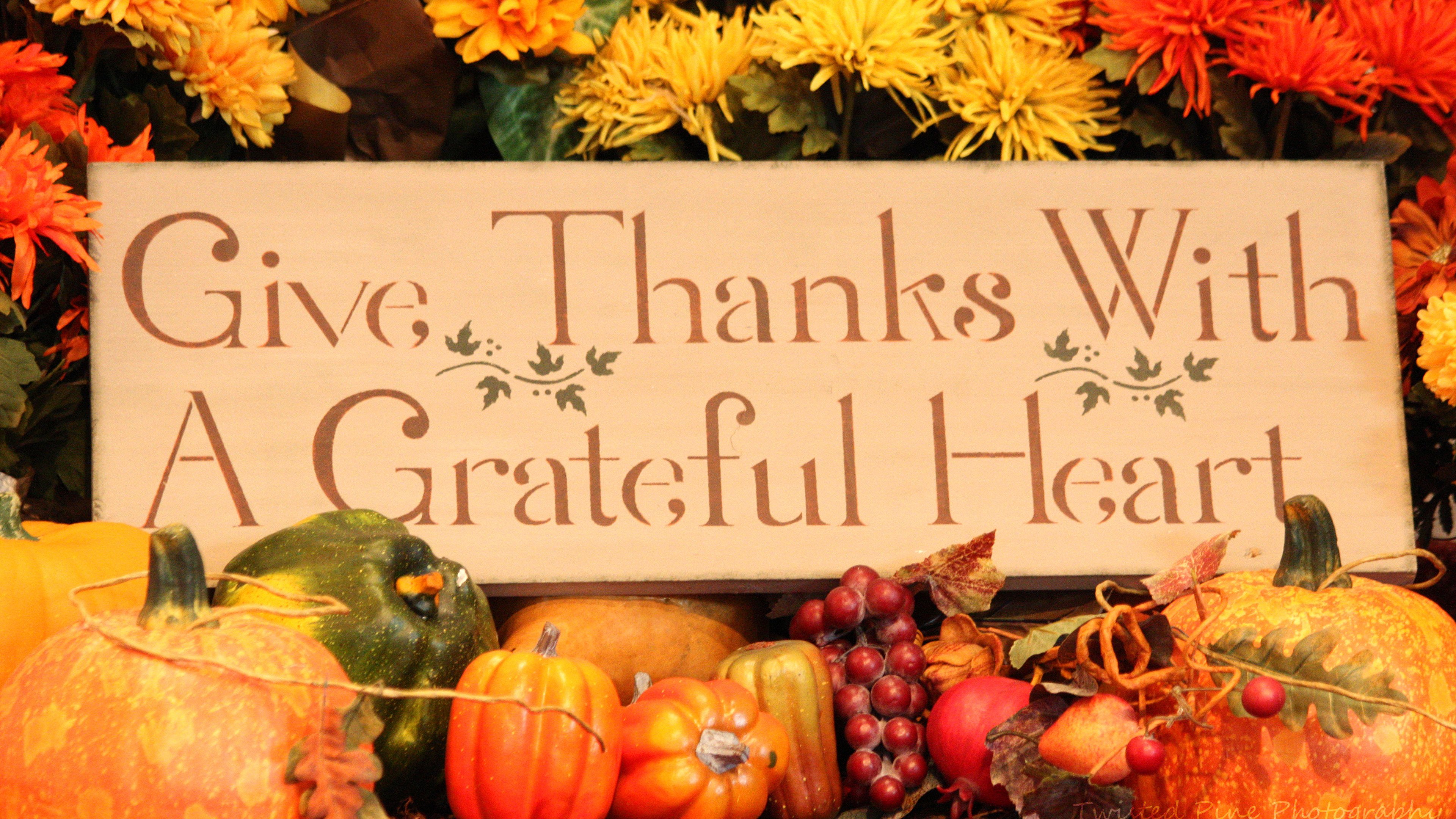 3840x2160 Pumpkin Fruits Flowers 4K HD Thanksgiving Wallpaper