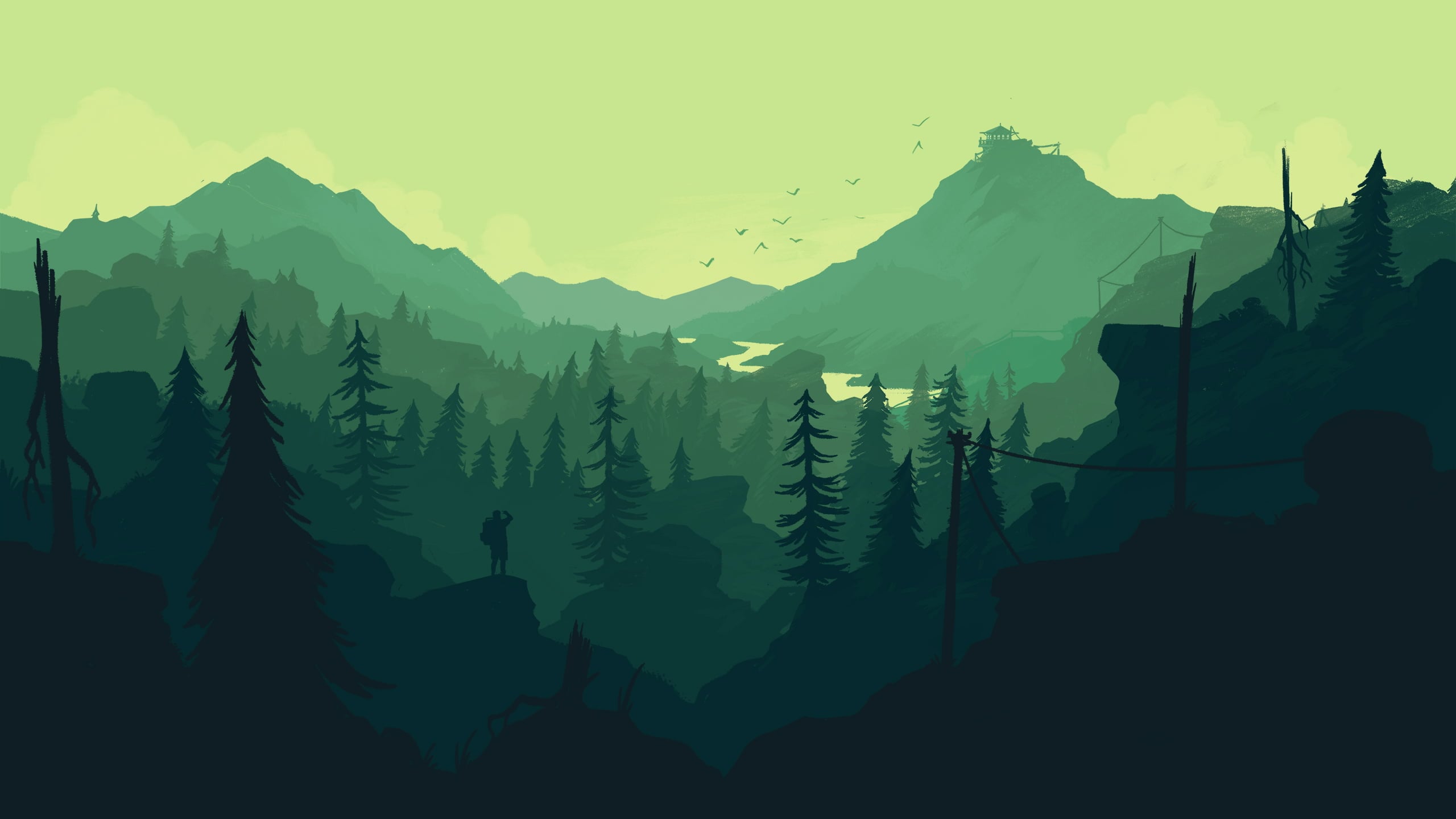 2560x1440 2560*1440) Green forest