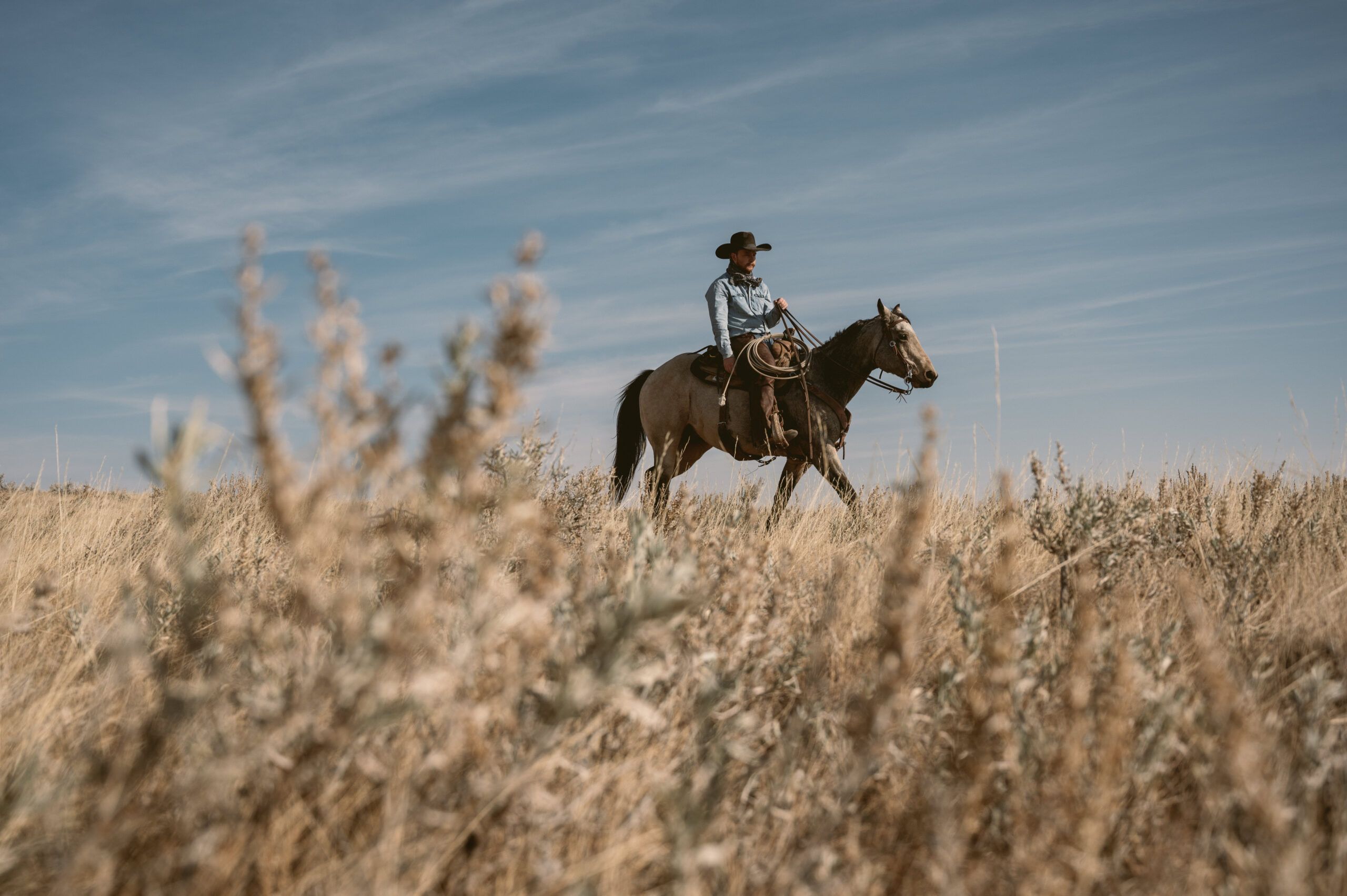 2560x1703 Colter Wall Builds Vast Imagery With Brave Simplicity On 'Little Songs' (ALBUM REVIEW)