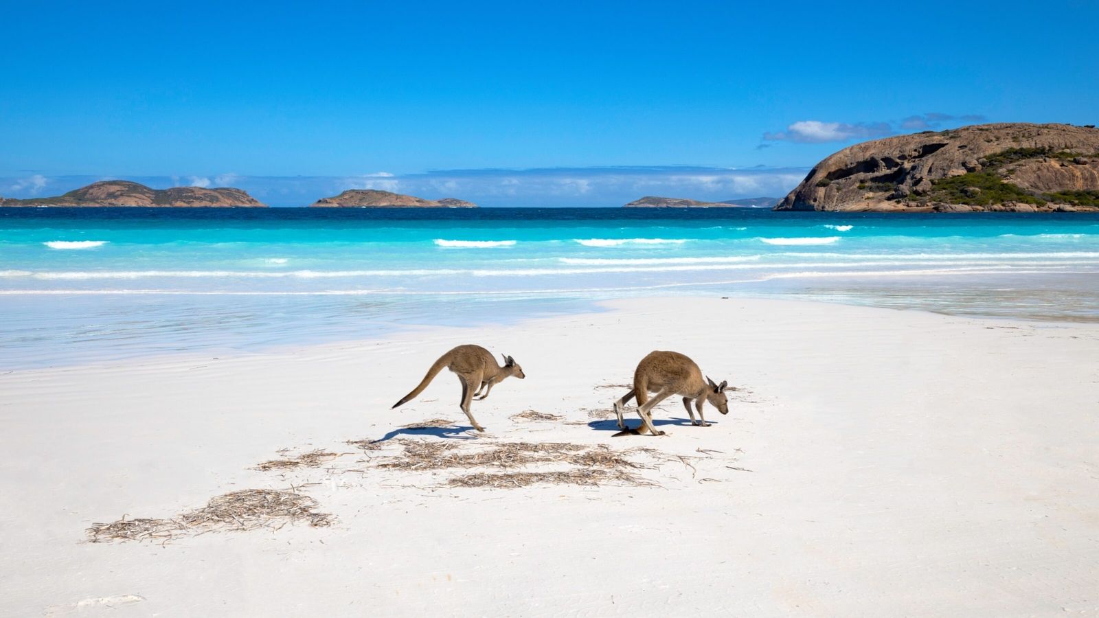 1600x900 An In Depth Discovery Of South Australia
