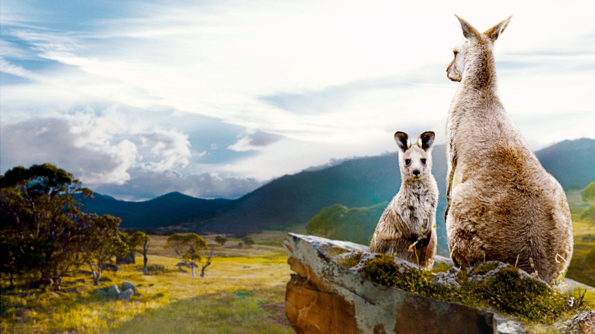 2048x1152 Informative Clip: Kangaroo Valley