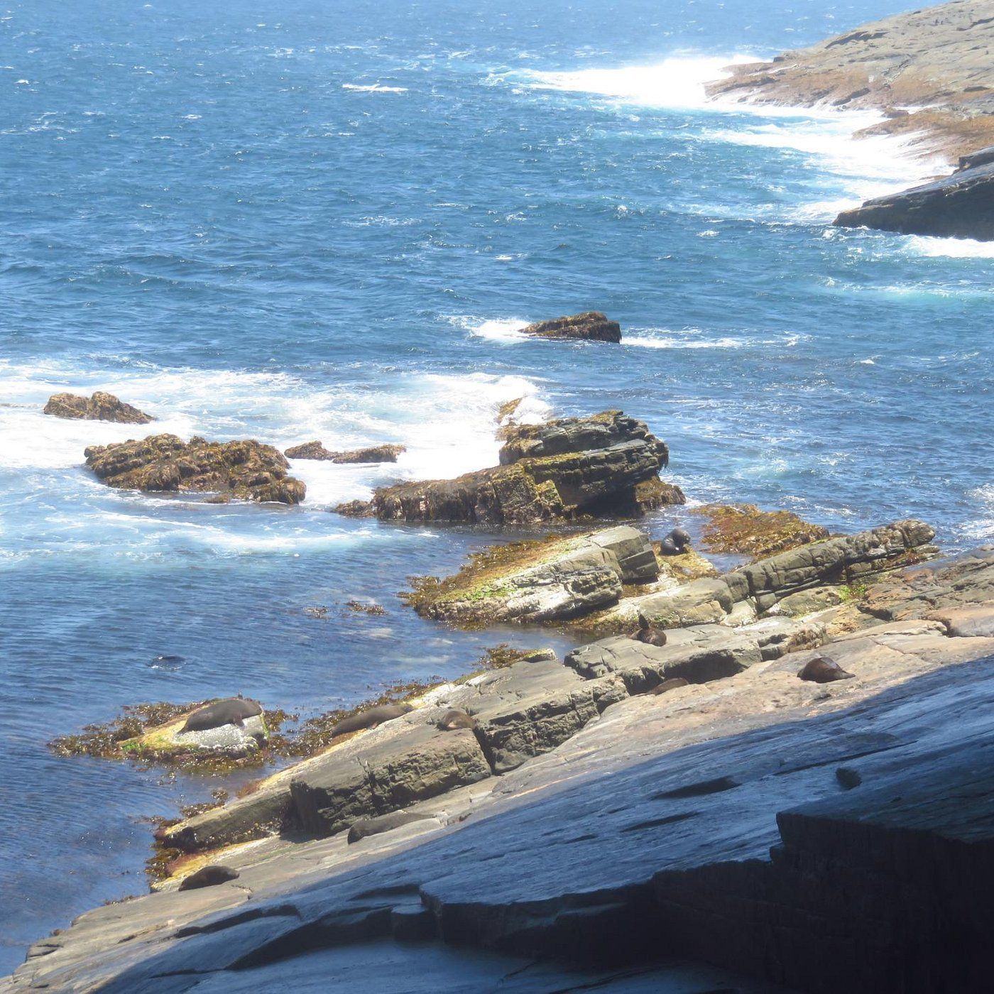 1400x1400 Kangaroo Island: All You Must Know Before You Go (2026)