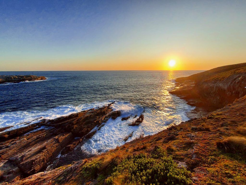 1024x768 Kangaroo Island Chase, Nature & Wildlife Day Tour