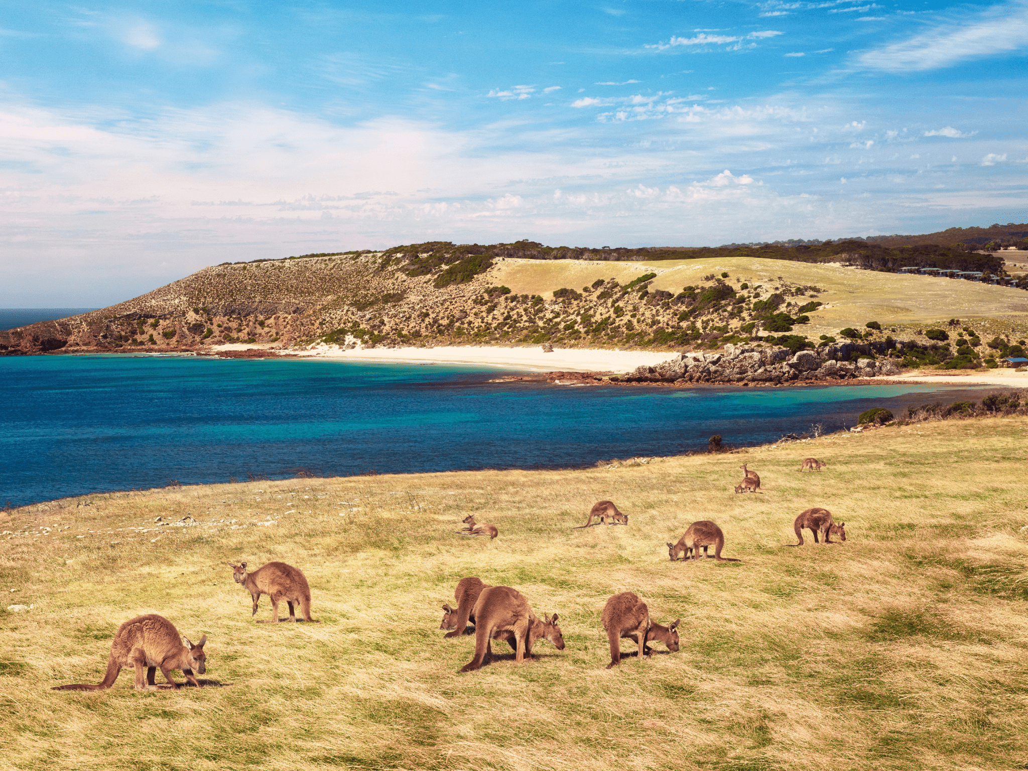2048x1536 Kangaroo Island Is More Than One Third Protected National Park