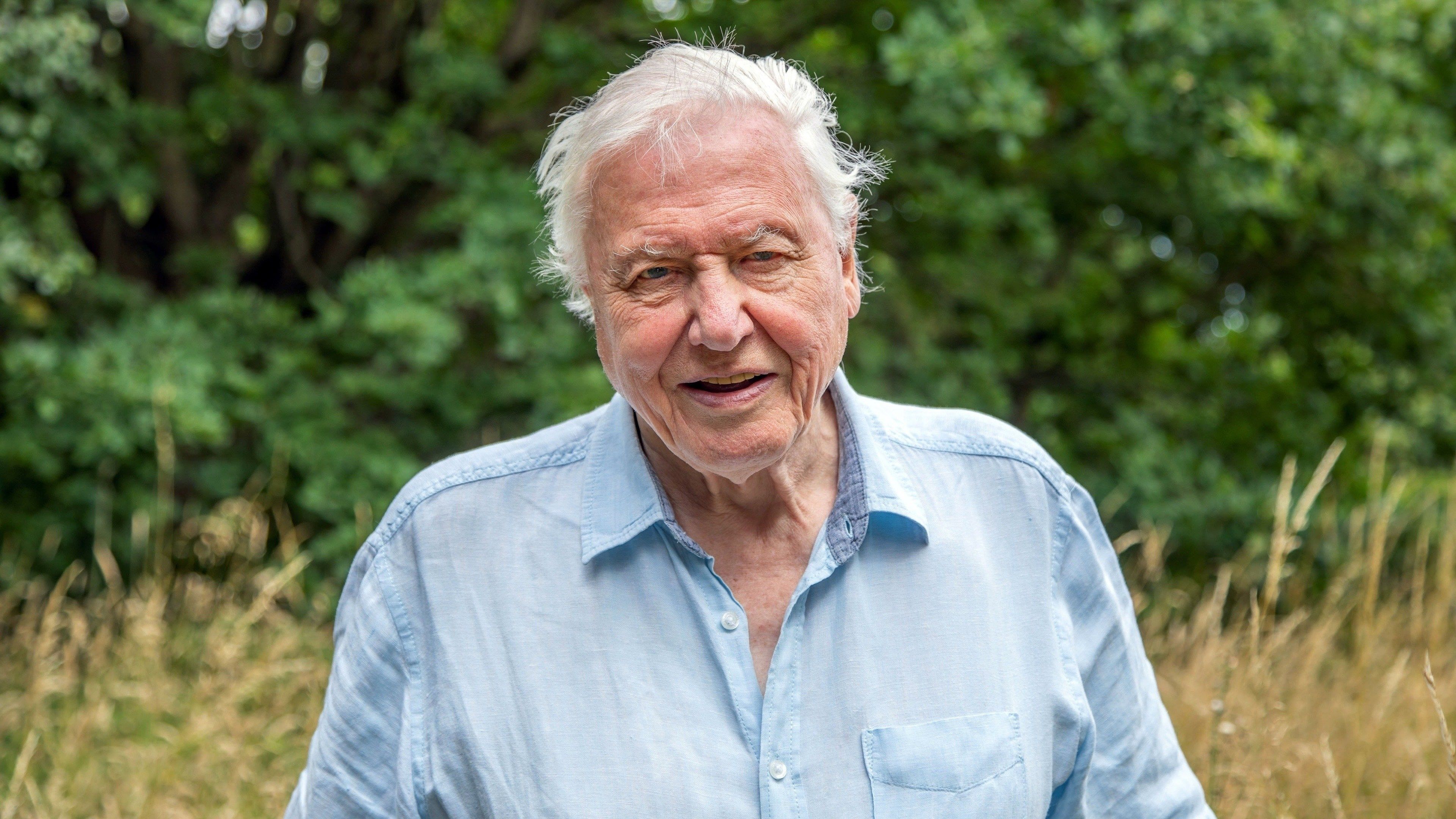 3840x2160 Download David Attenborough TV Show A Perfect Planet 4k Ultra HD Wallpaper