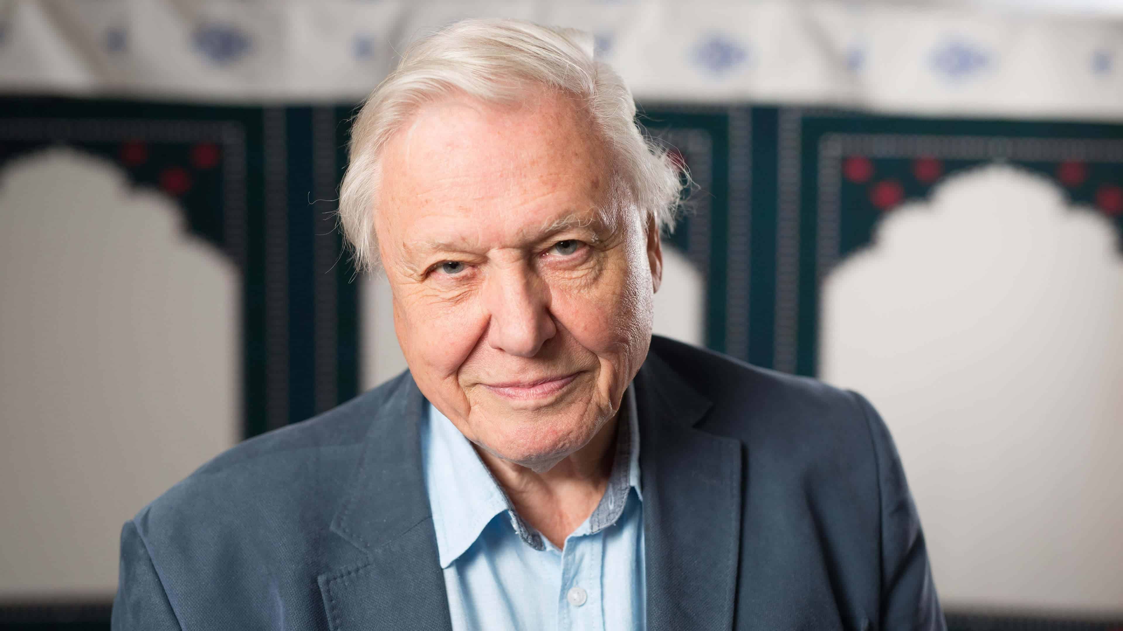 3840x2160 David Attenborough Wallpaper