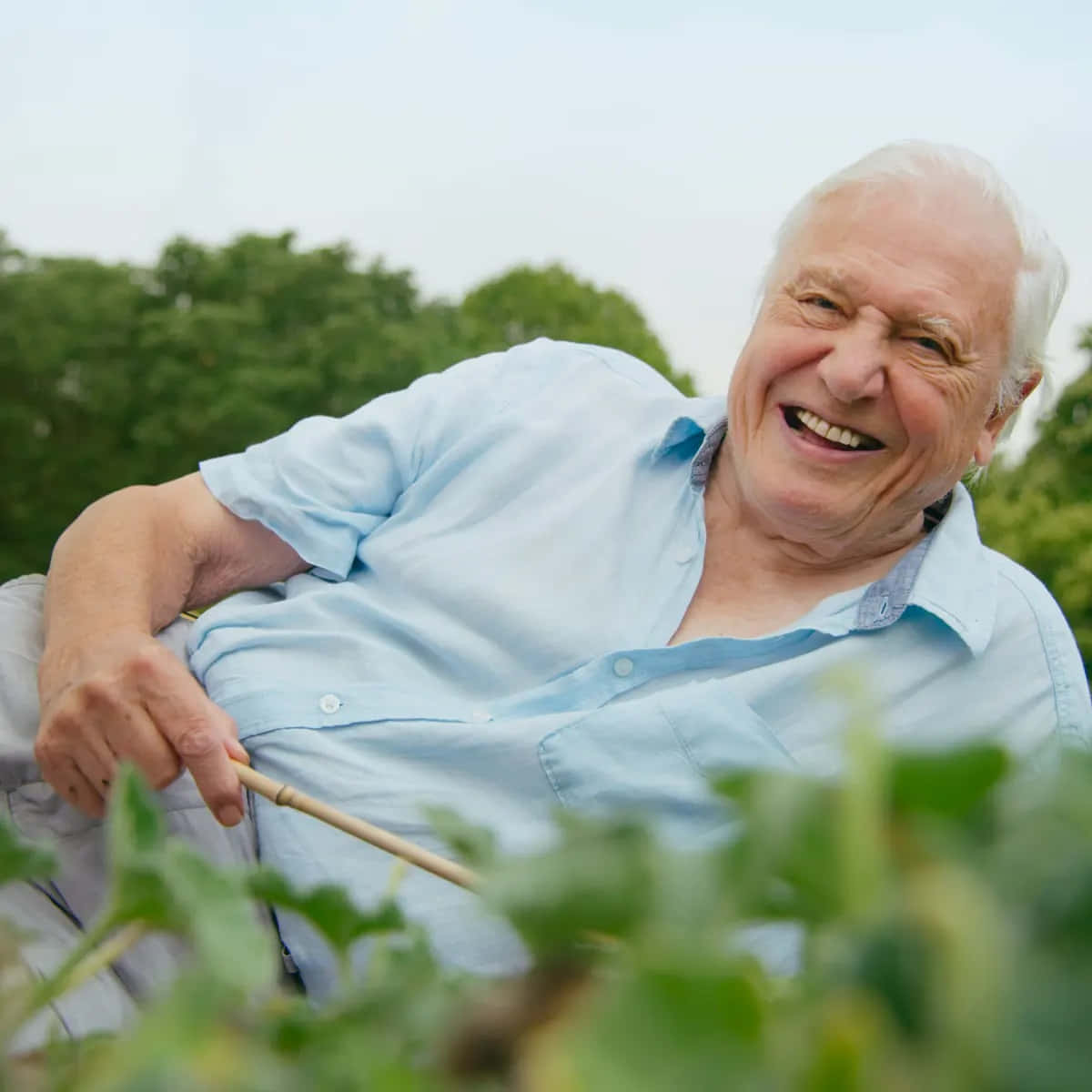 1200x1200 David Attenborough Wallpaper