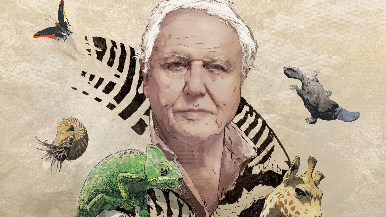 1600x900 David Attenborough Wallpaper