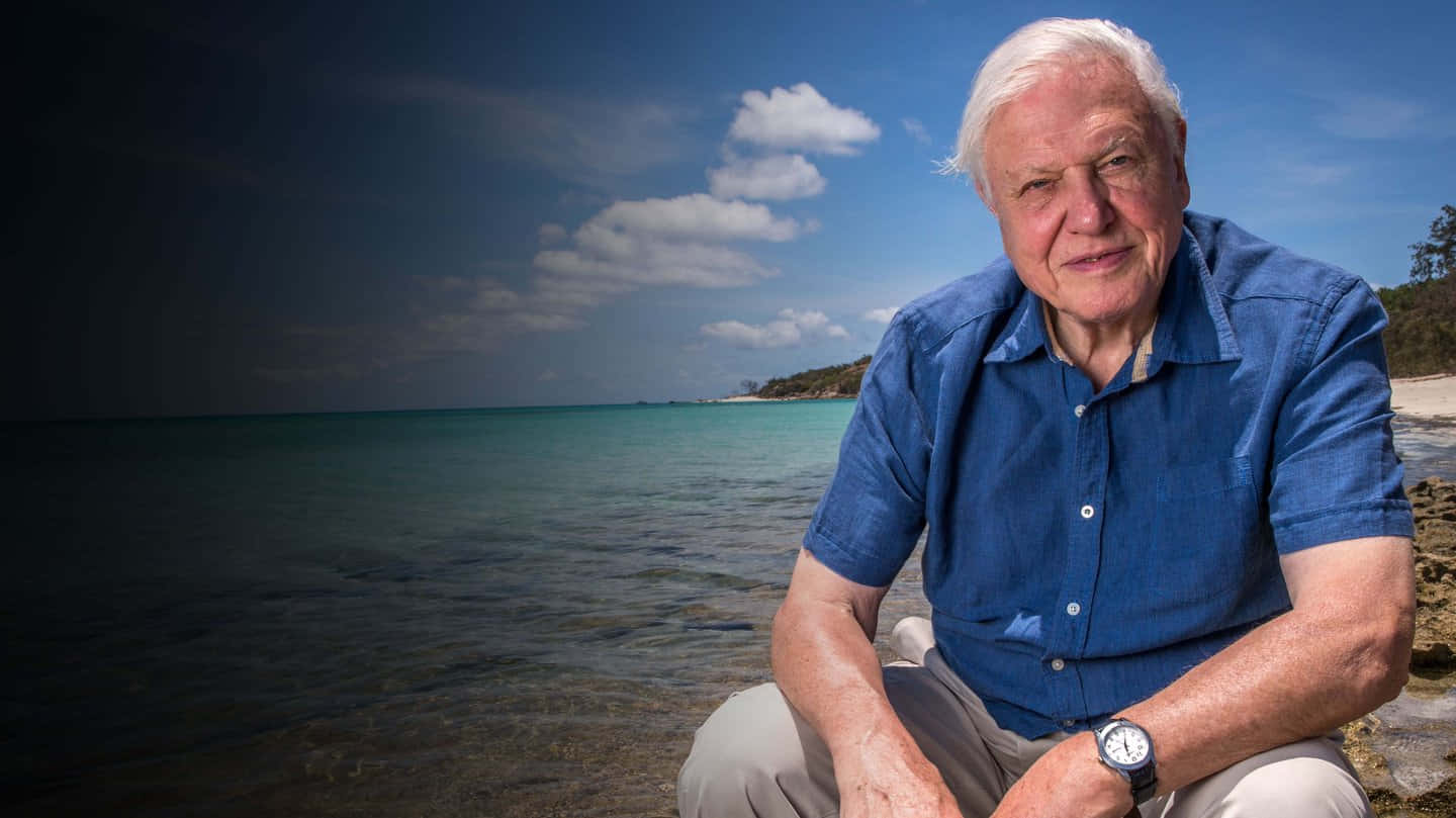 1440x809 Download David Attenborough Wallpaper