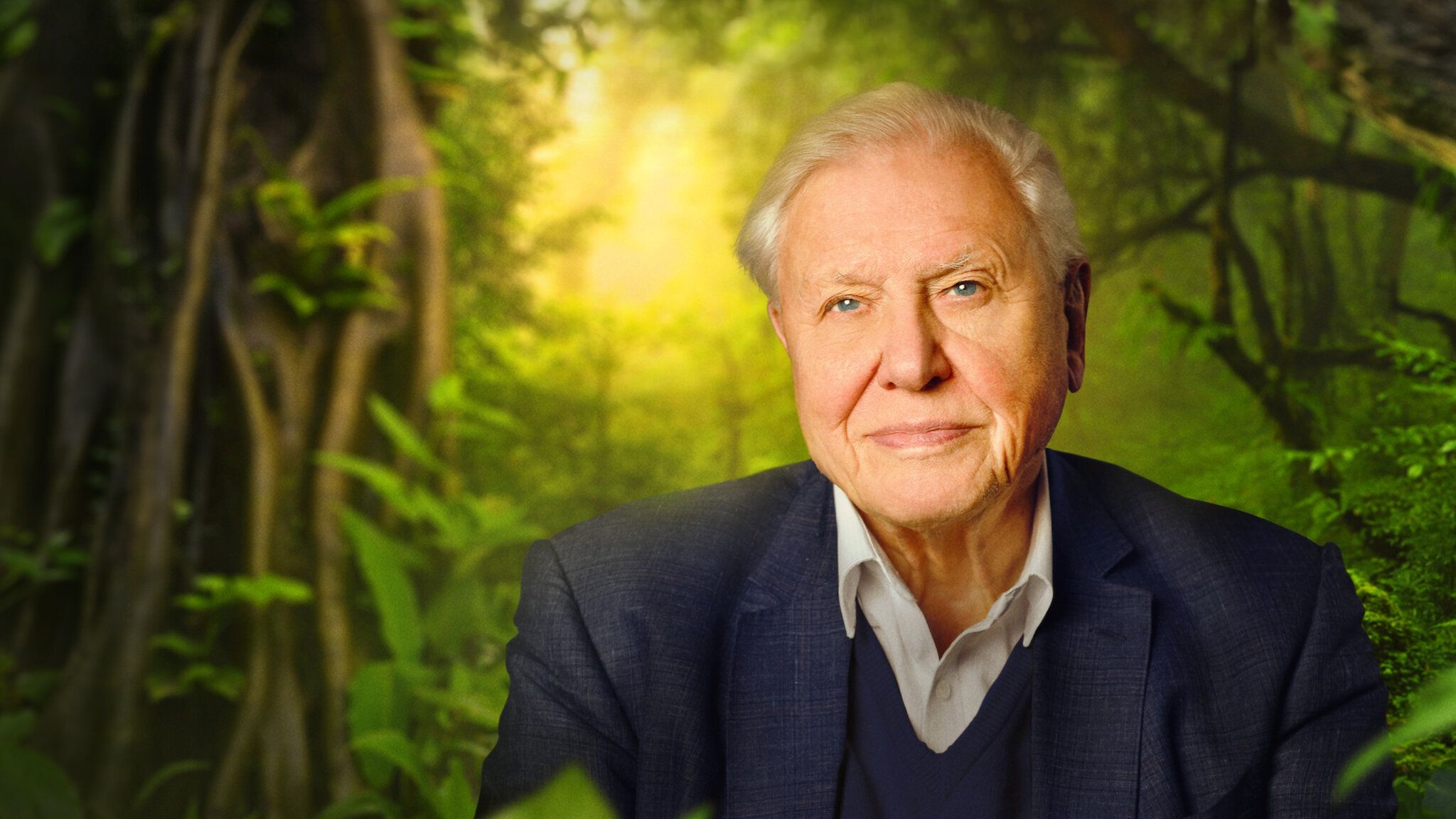 2048x1152 Trailer: David Attenborough: A Life on Our Planet