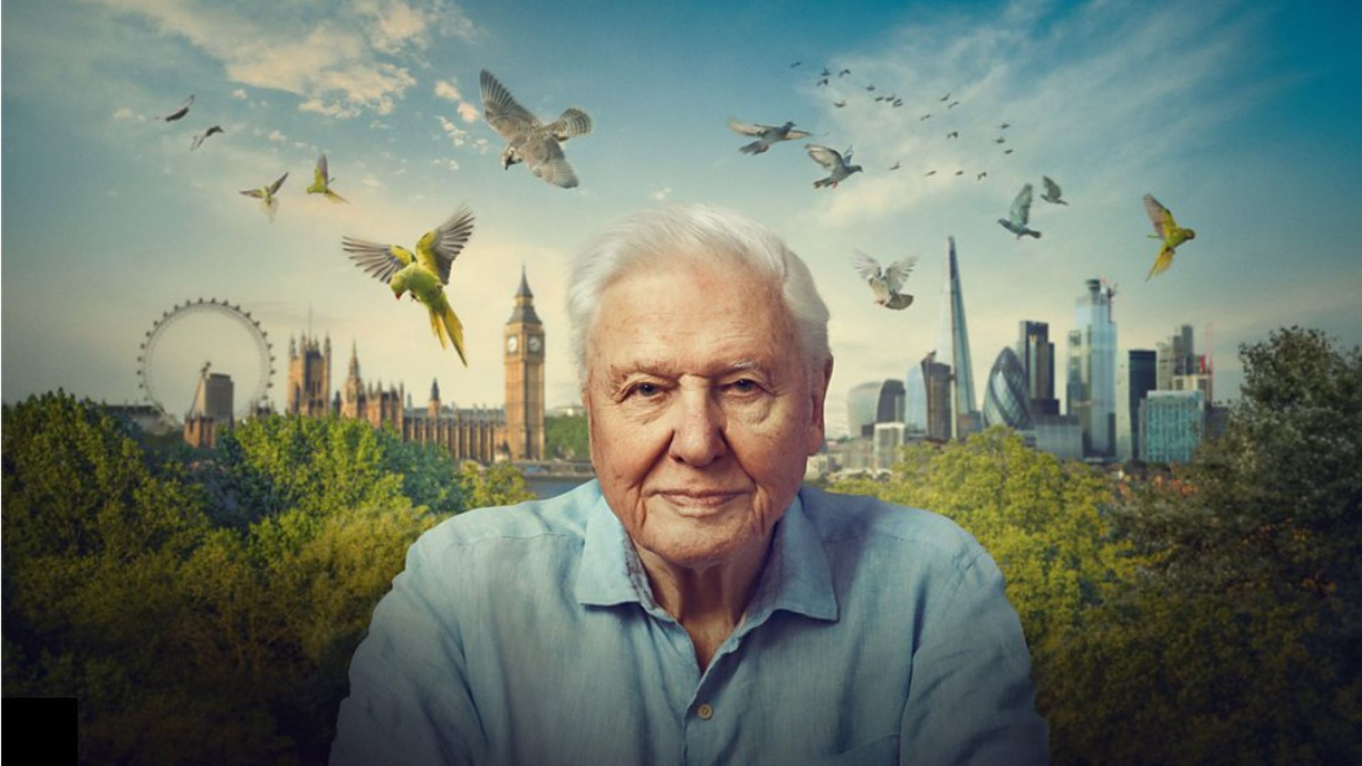 1920x1080 Sir David Attenborough will be back on our screens London's wildlife will be in the spotlight