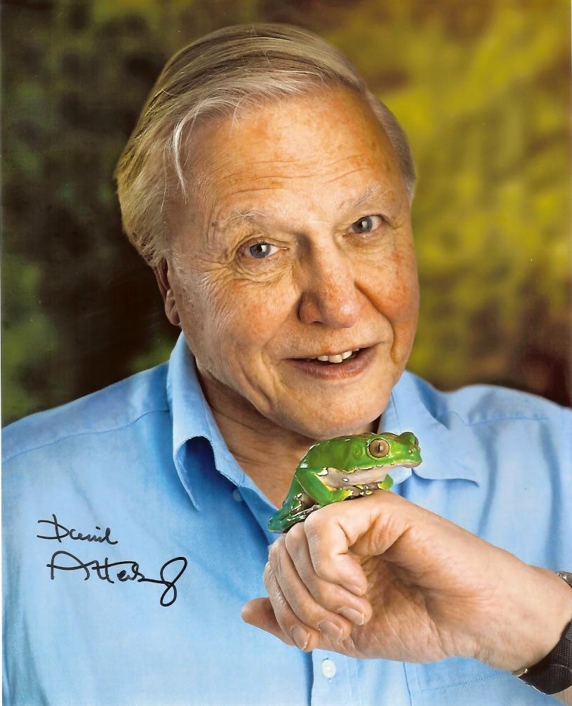 815x1005 Sir David Attenborough