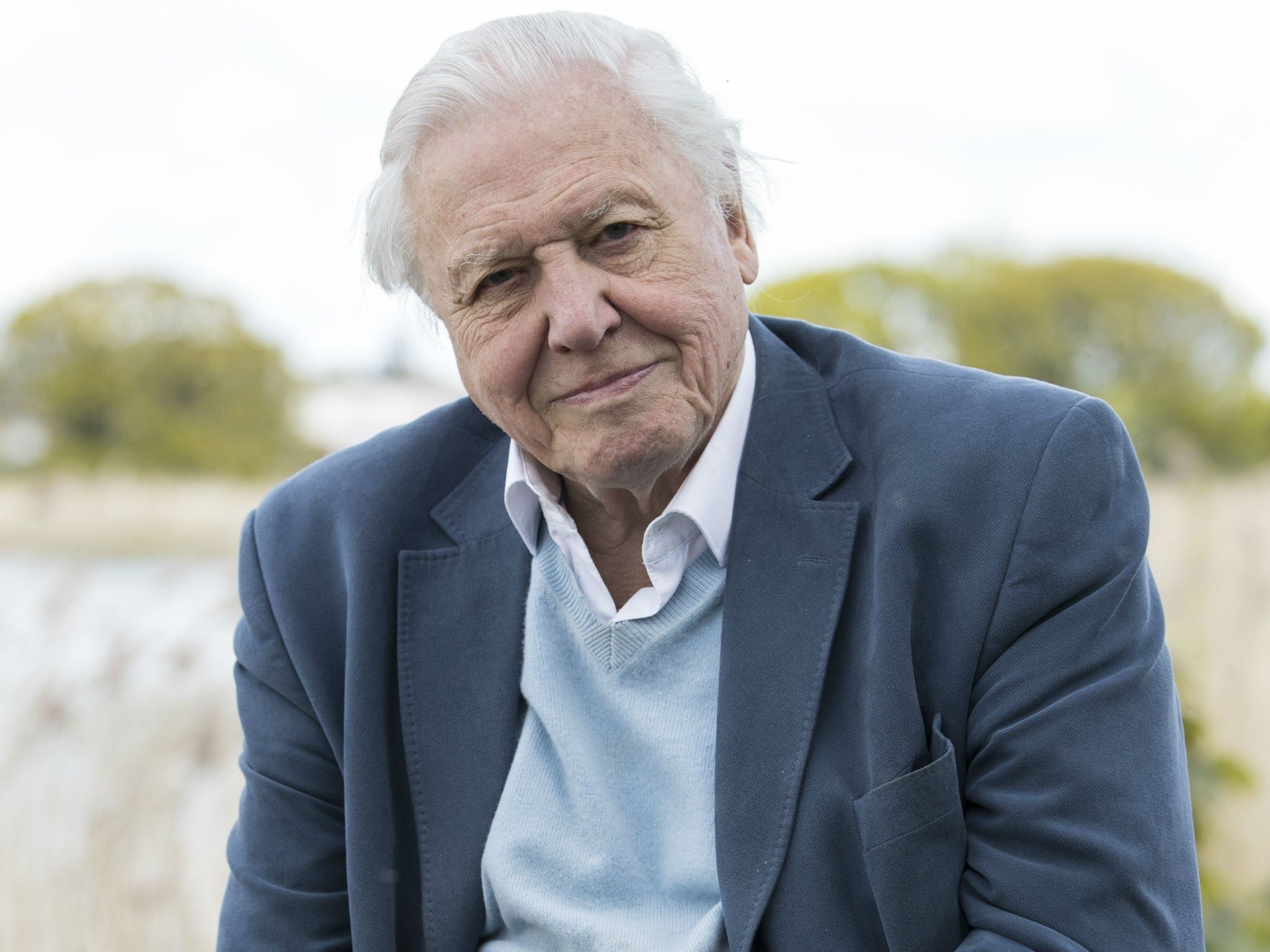 2048x1536 David Attenborough at 90: The broadcaster's life and career in picture