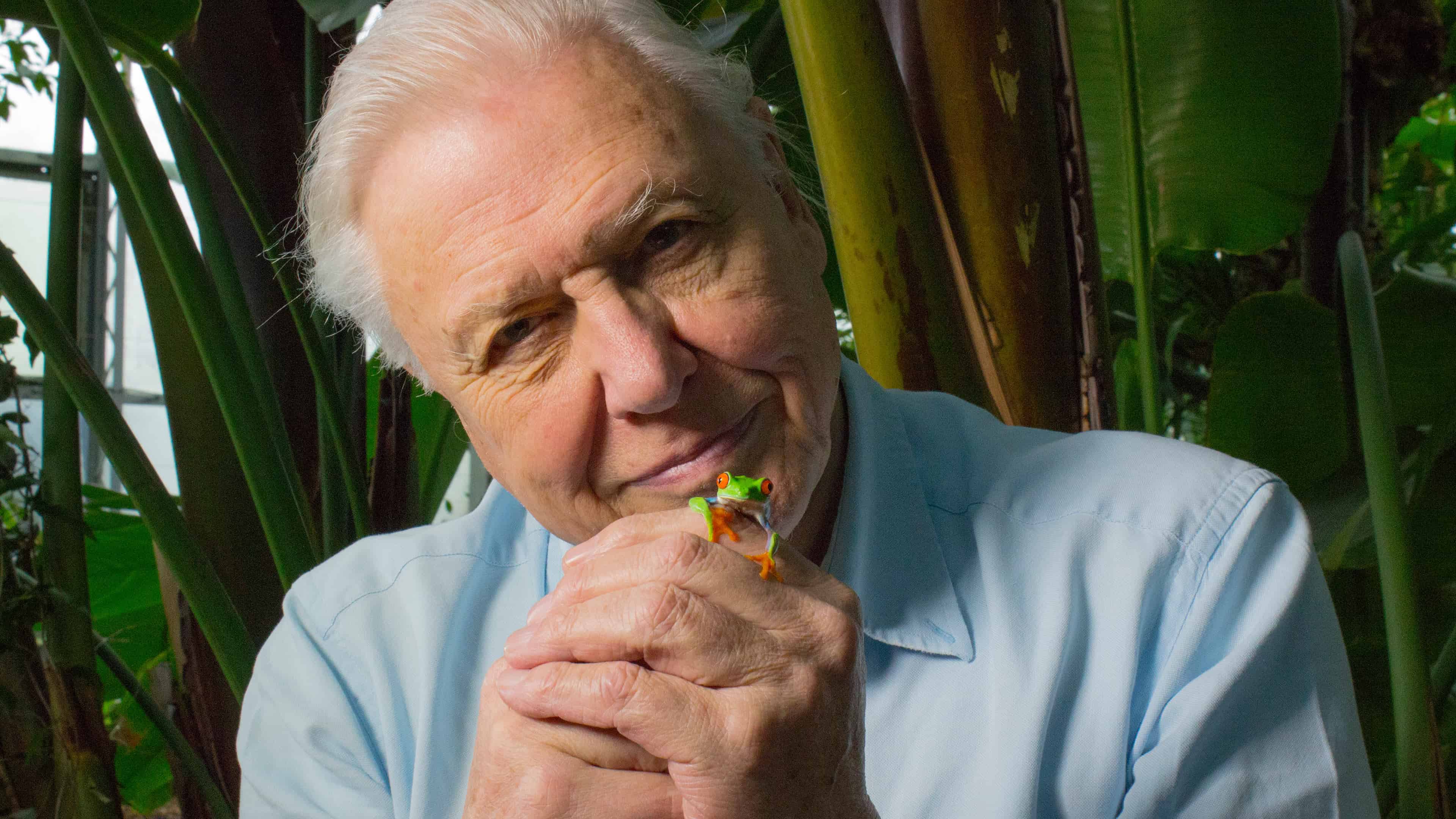 3840x2160 Tribute To Sir David Frederick Attenborough