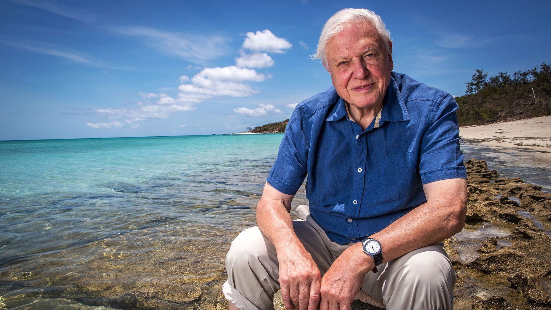 1920x1080 Great Barrier Reef With David Attenborough (TV Series 2015 2016)