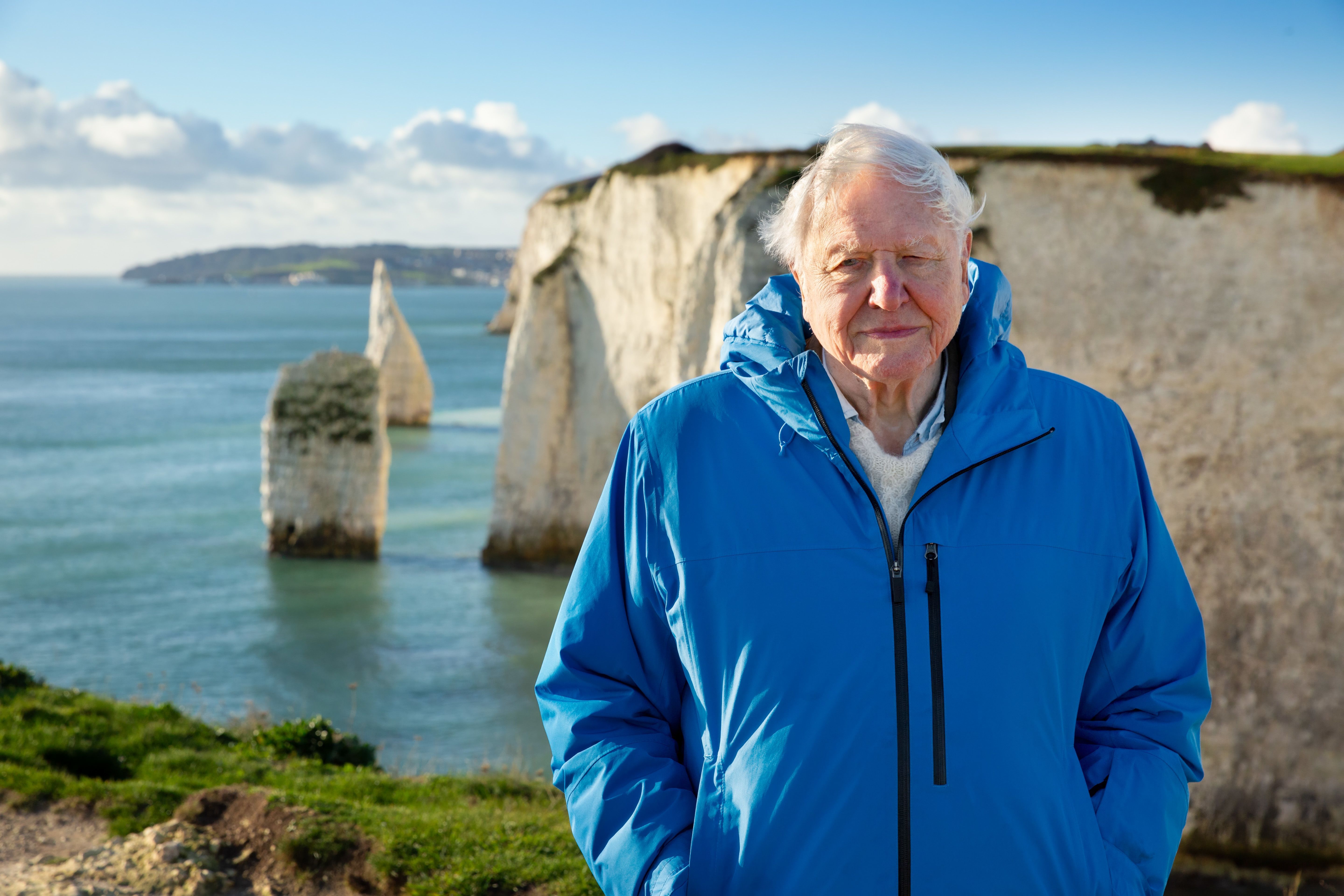 5760x3840 David Attenborough's 'Ocean' documentary highlights 'the most important place on Earth'
