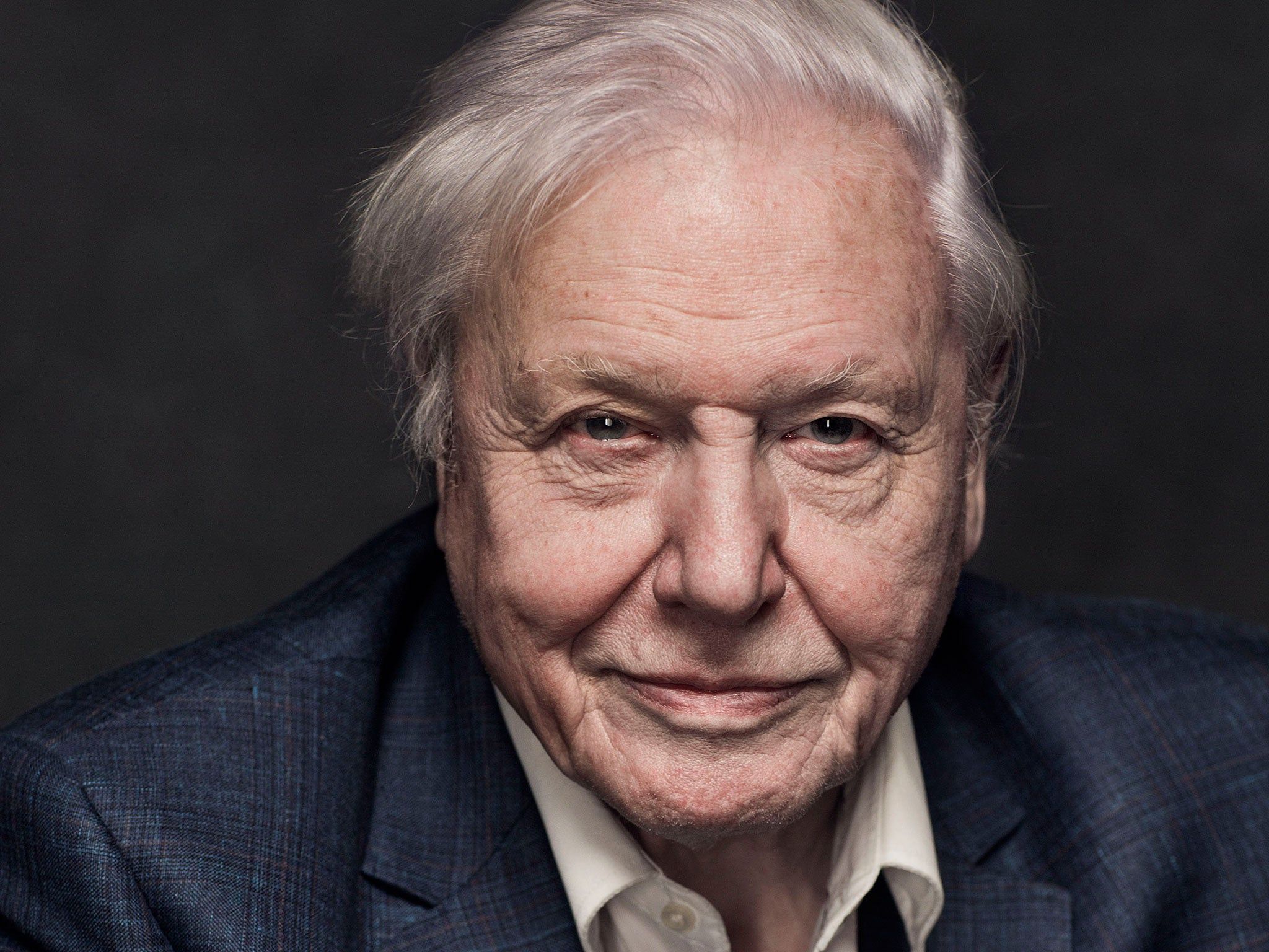 2048x1536 Blue Planet 2: BBC announce new series with Sir David Attenborough