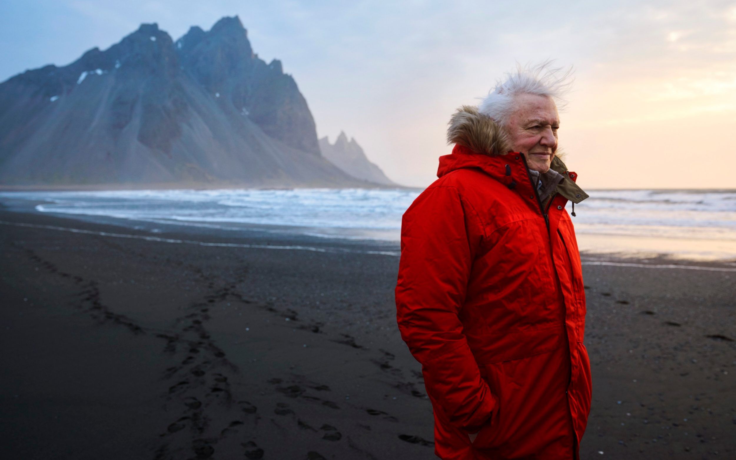 2501x1563 Download David Attenborough TV Show A Perfect Planet HD Wallpaper