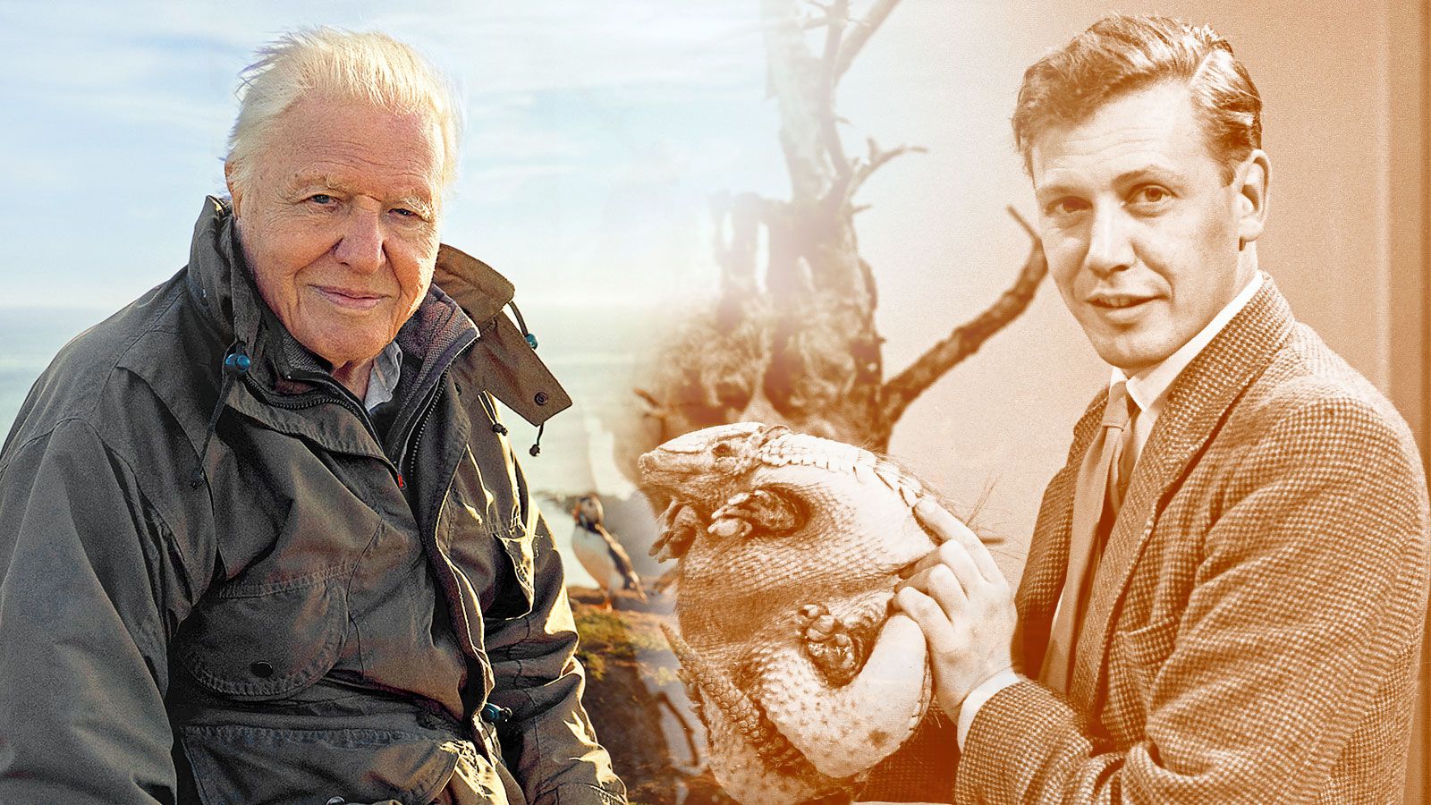 1600x900 At last, David Attenborough's