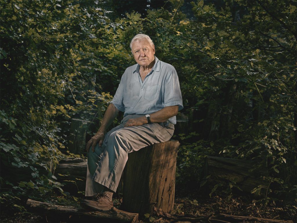 1024x768 Sir David Attenborough Profiles Plant Life in BBC Earth's New Landmark Series, The Green Planet, Premiering July 6 Ant Media