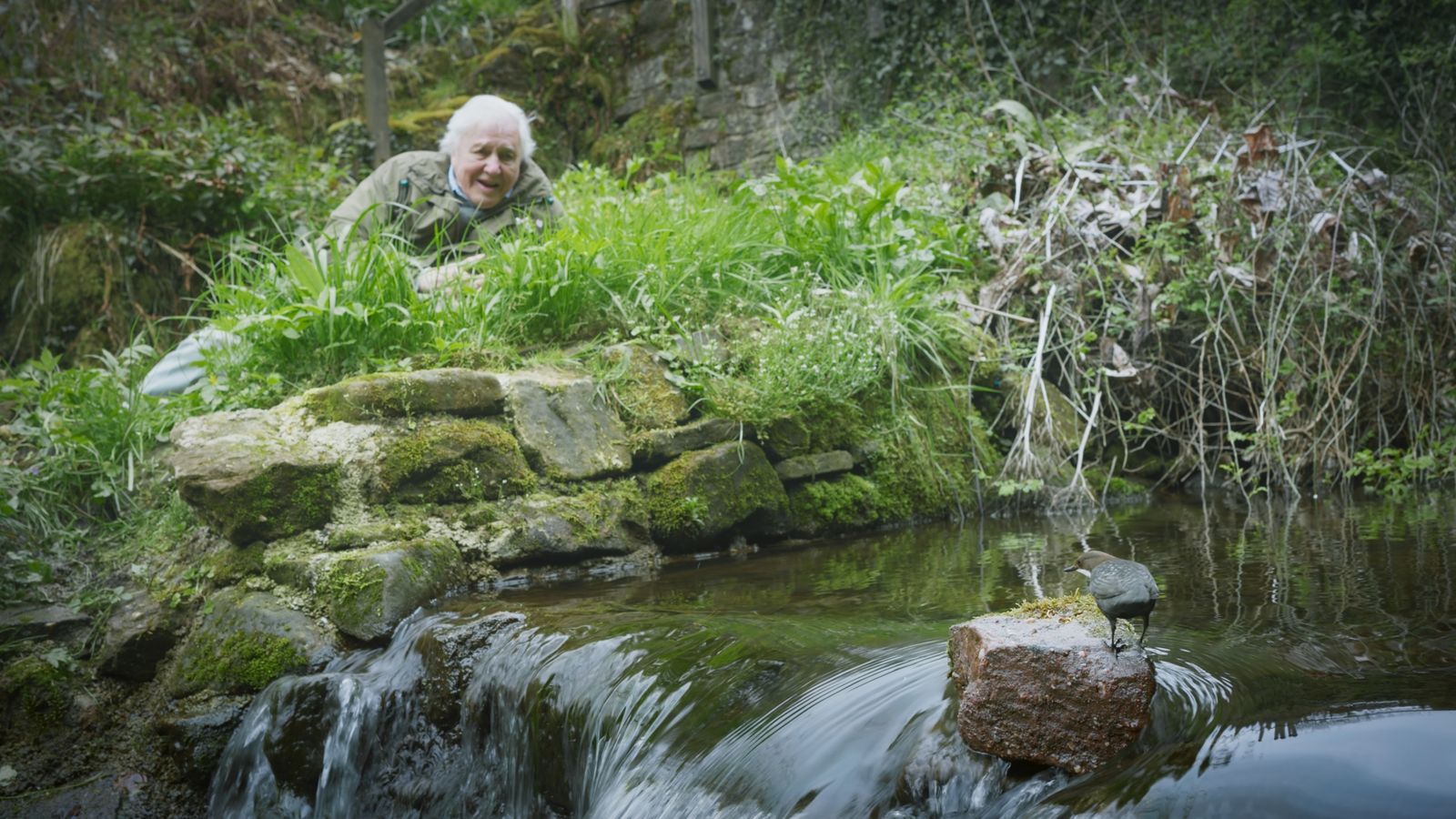 1600x900 David Attenborough at 97: 'He still works harder than most of us days a week'. Ents & Arts News