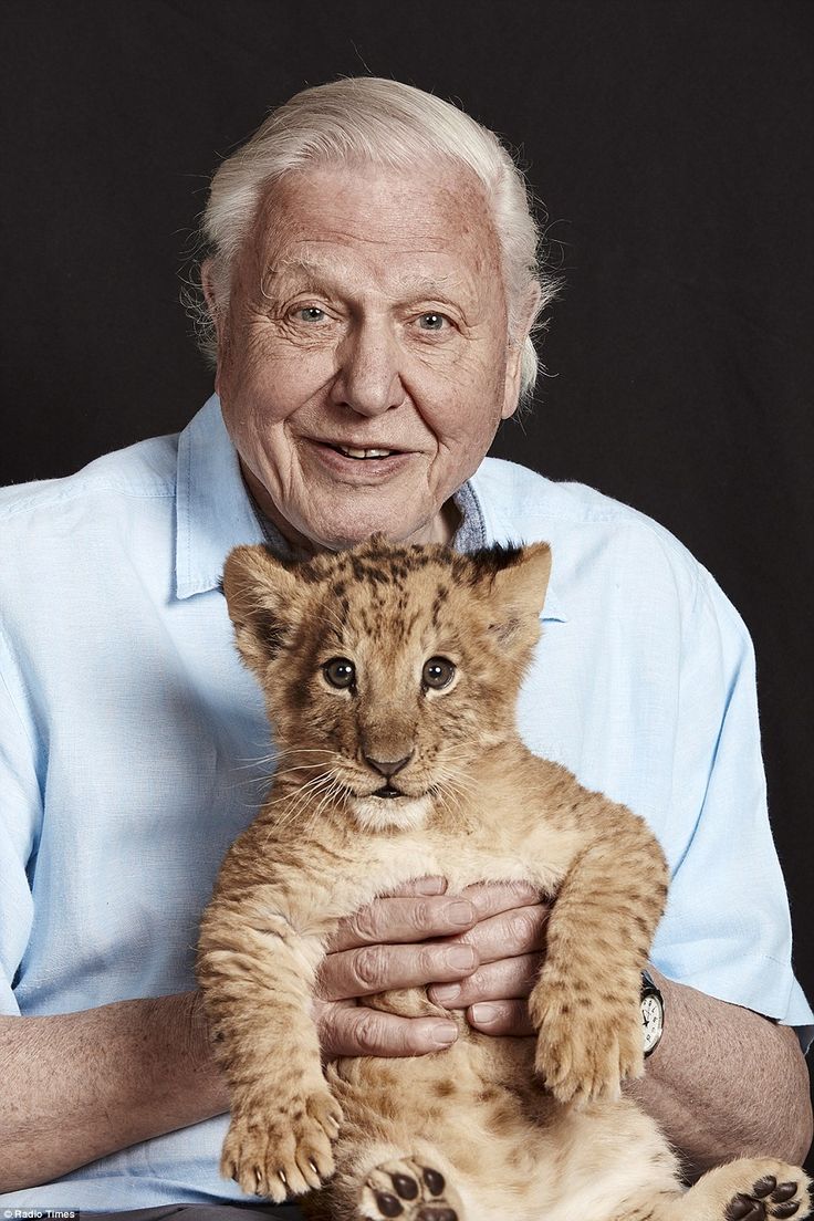 736x1104 Attenbro! ideas. david attenborough, david, inspirational people