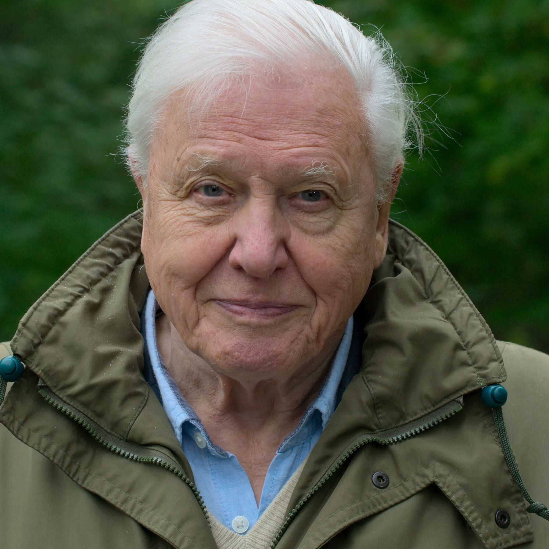 1800x1800 David Attenborough: A Life on Our Planet' Review: Ruin and Regrowth