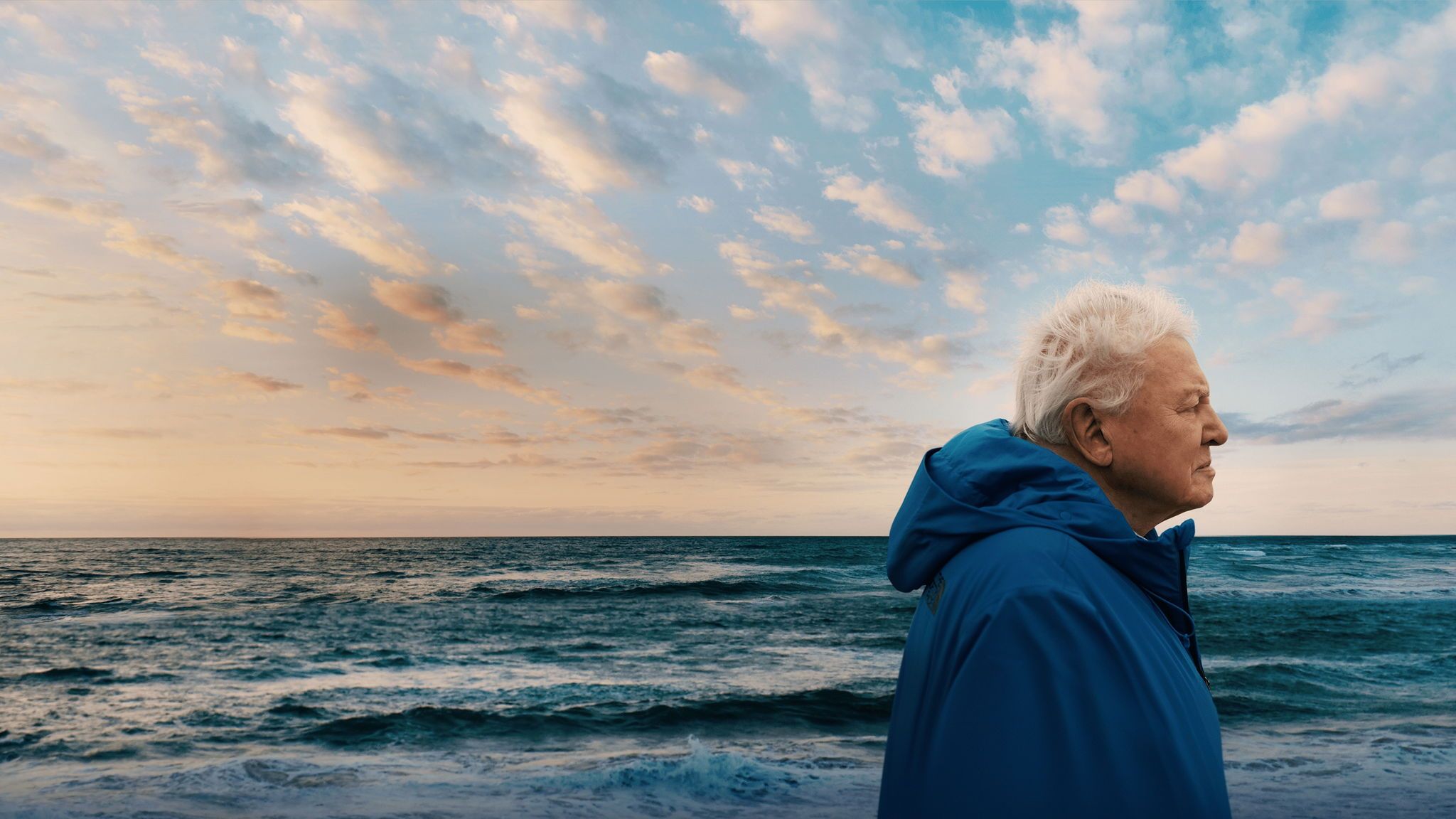 2048x1152 Ocean with David Attenborough