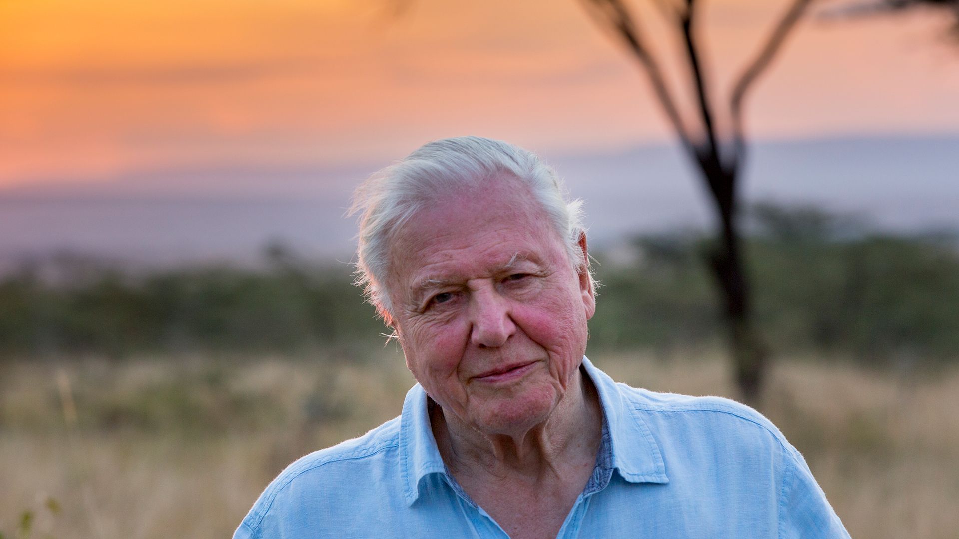 1920x1080 Our Planet review: Why David Attenborough's Netflix series Our Planet is a direct rebuke of the BBC
