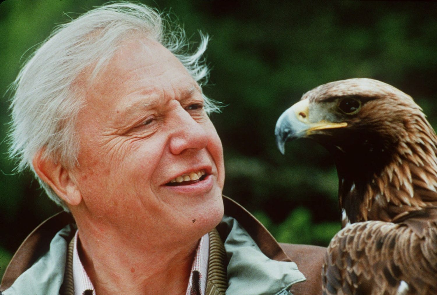 1500x1015 Eight Life Lessons from David Attenborough