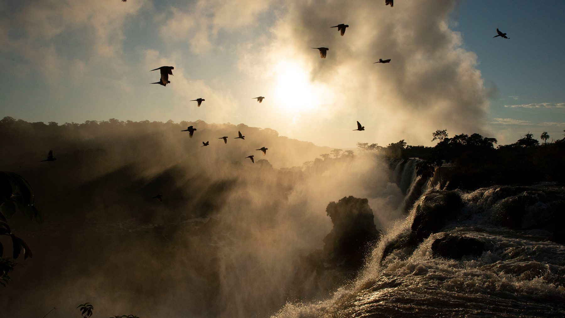 1800x1013 David Attenborough.9.2020