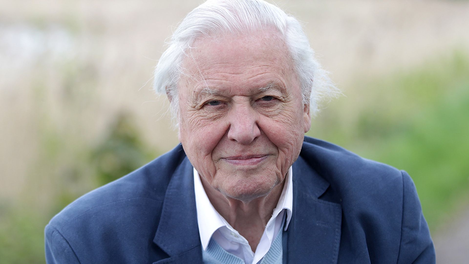 1920x1080 David Attenborough looks unrecognisable in his early career