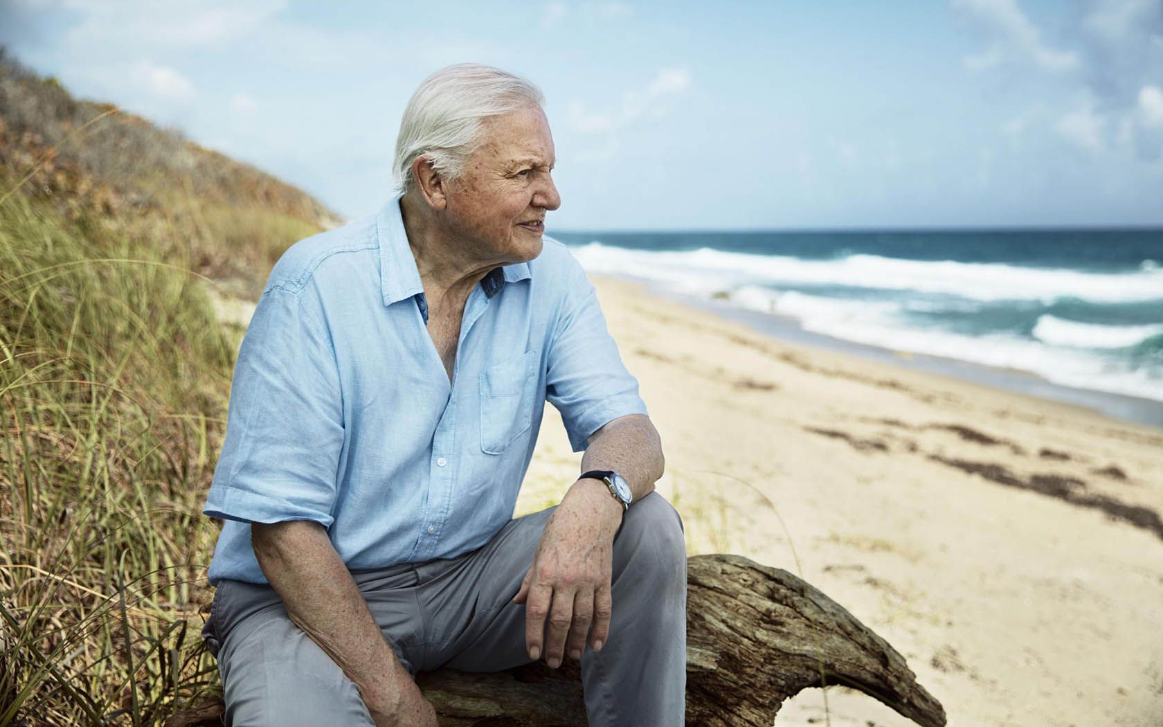 1680x1050 Sir David Attenborough Reveals North Queensland Is His Favourite Place