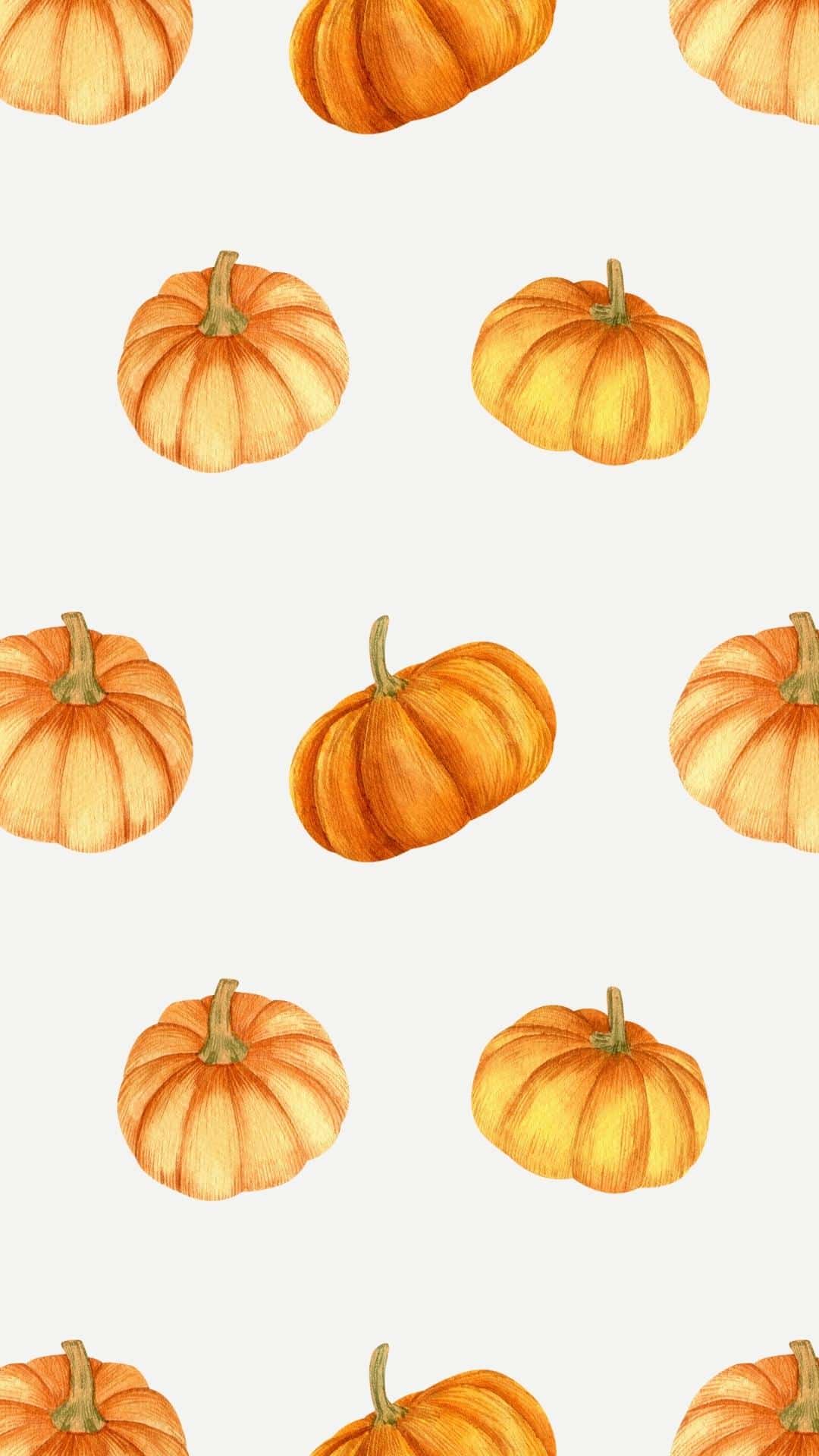 1080x1920 Fall iPhone Wallpaper Background To Download