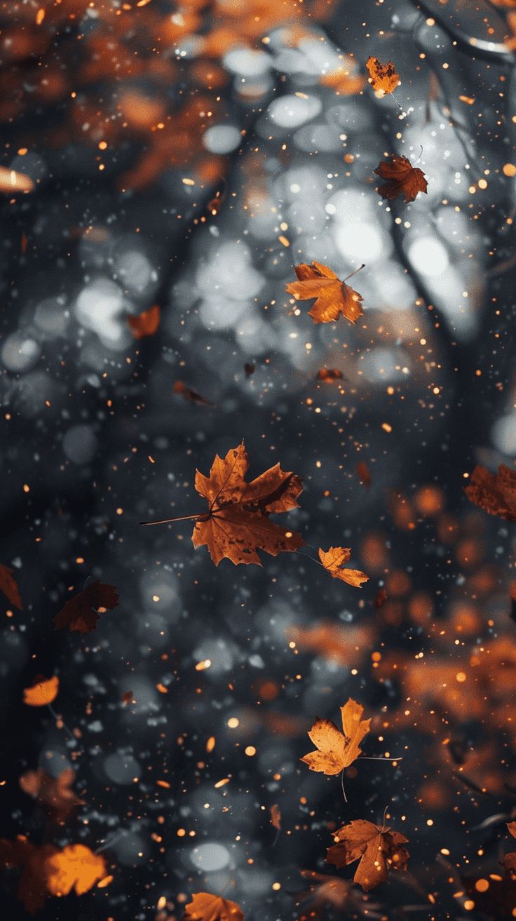 736x1313 Stunning And Dreamy Fall Phone Wallpaper. Autumn phone wallpaper, Cute fall wallpaper, Fall