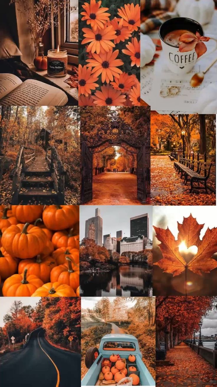 736x1308 Fall Wallpaper for Phone