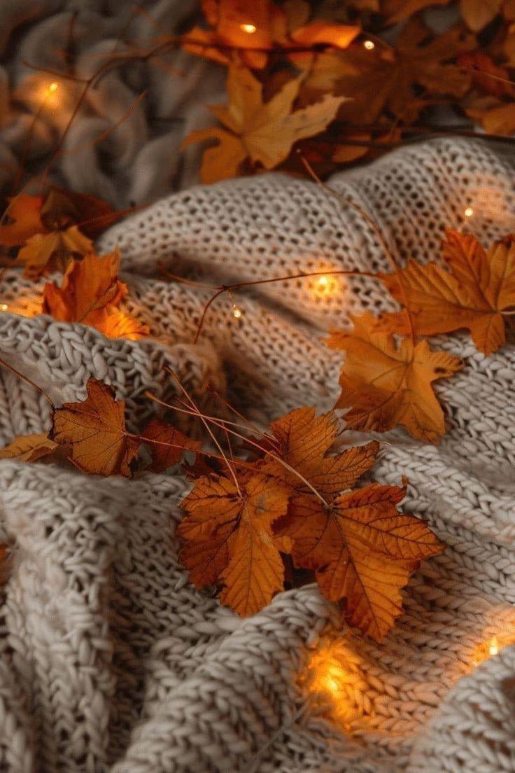 736x1104 Cozy Autumn Android Wallpaper