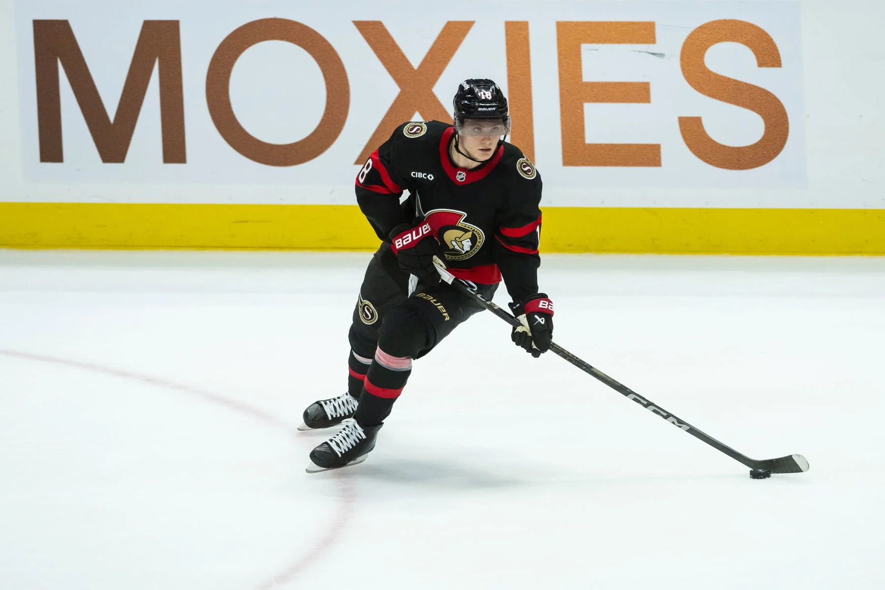 1800x1200 Tim Stützle Joins Germany At World Championship