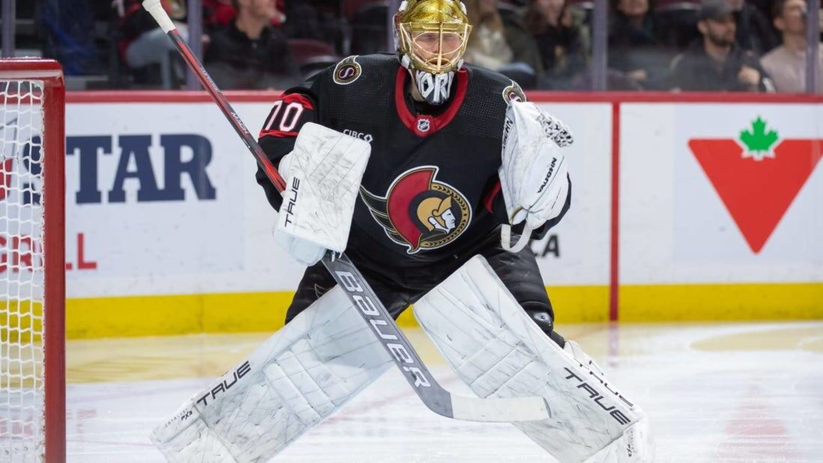 1600x900 Tim Stutzle's 3 Point Game Propels Senators Over Habs