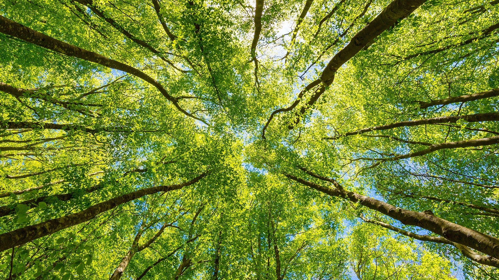 1920x1080 HARNESSING THE POWER OF AUSTRALIAN NATURE