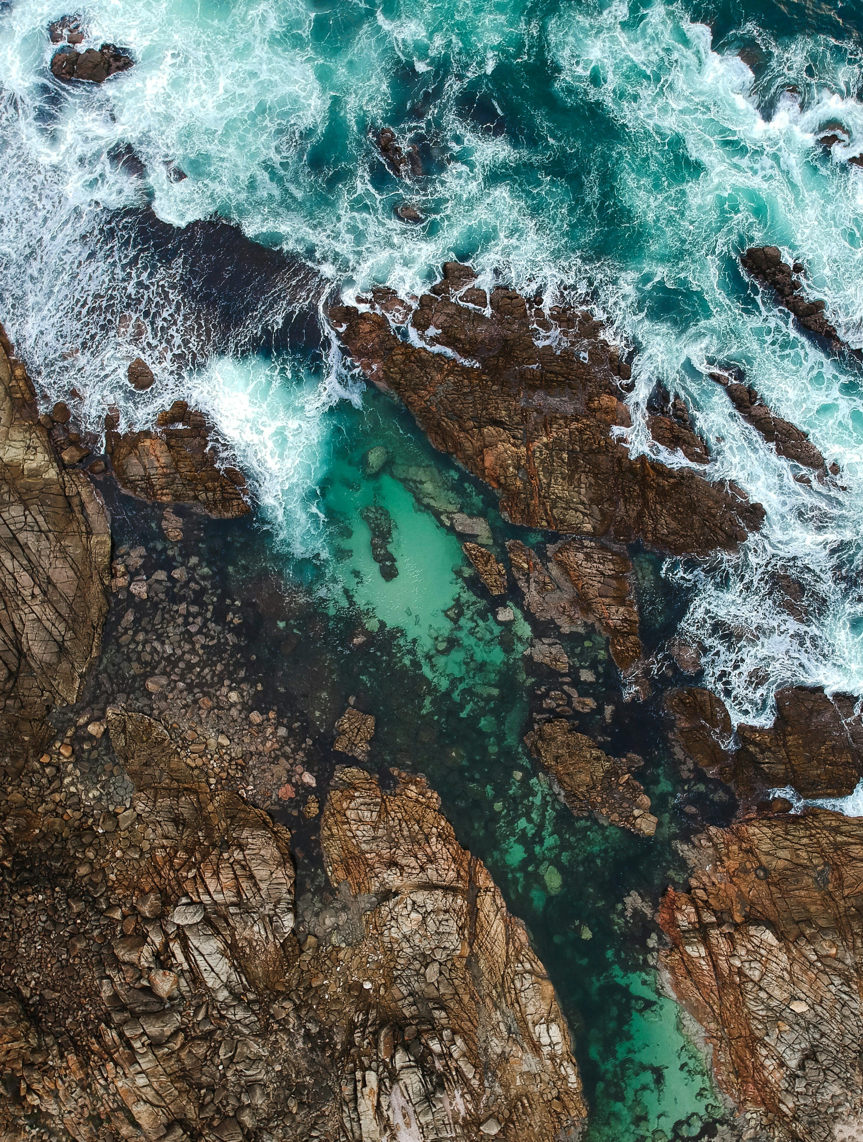 3000x3967 Australian Nature Picture. Download Free Image