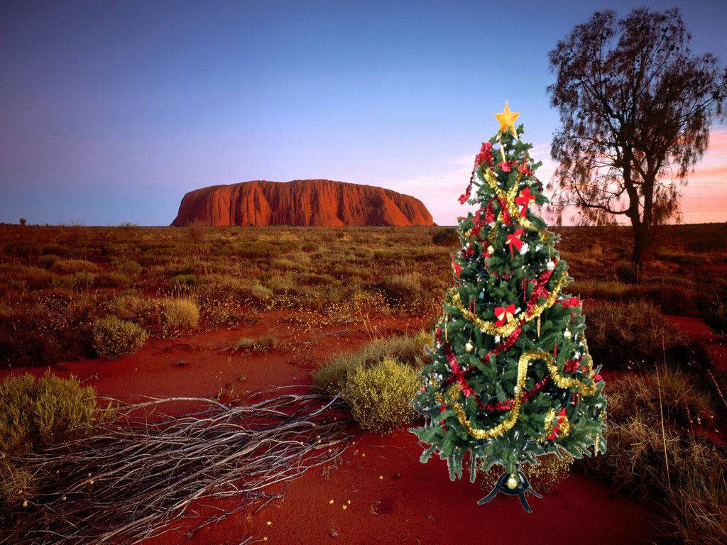 1024x768 Download Australian Christmas Mountain Wallpaper