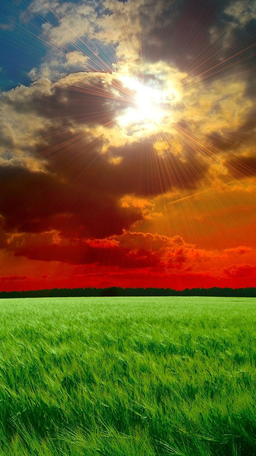 1080x1920 Wallpaper Portrait, Natural Landscape, Field, Nature, Grassland, Background Free Image