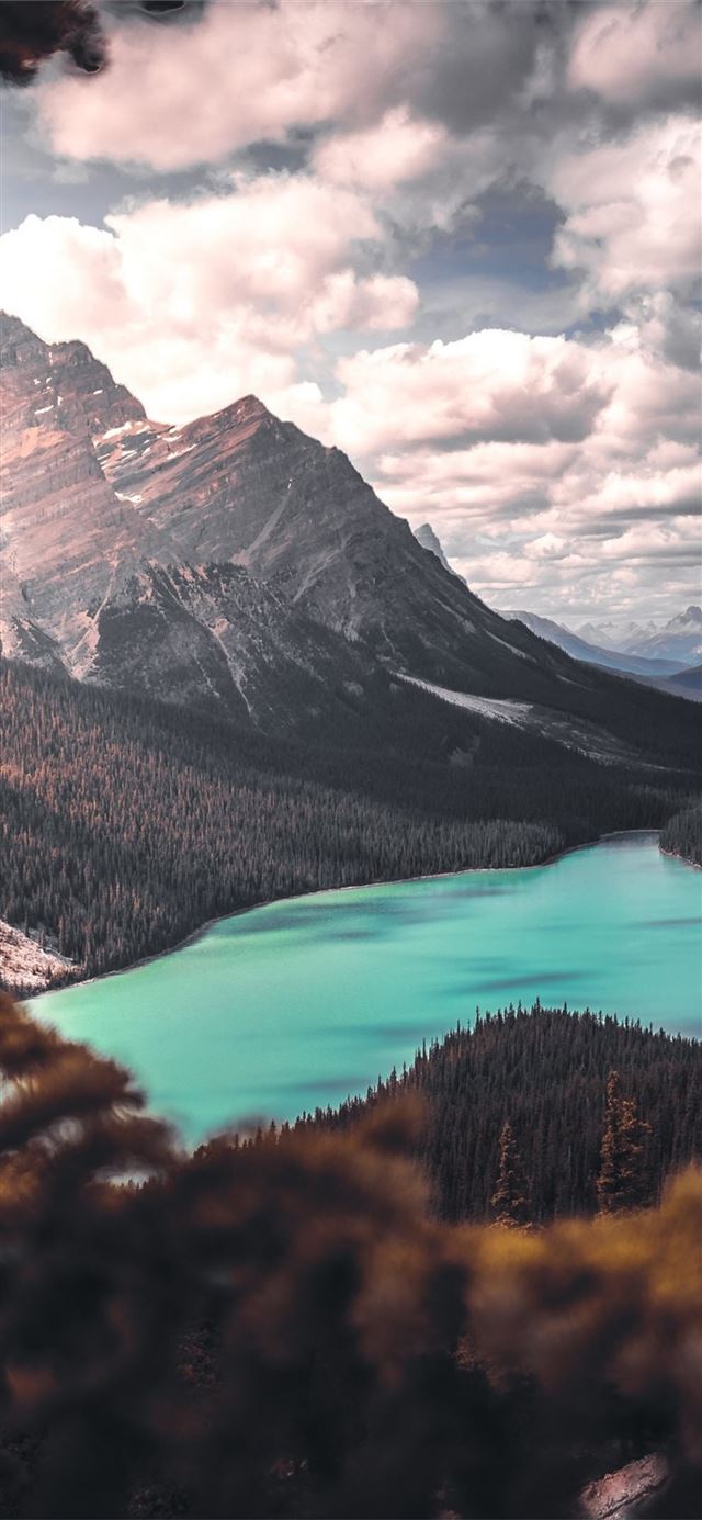 640x1385 breathtaking scenery landscape view iPhone X Wallpaper Free Download
